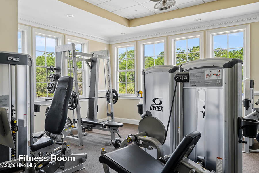 100559062 | Photo 11