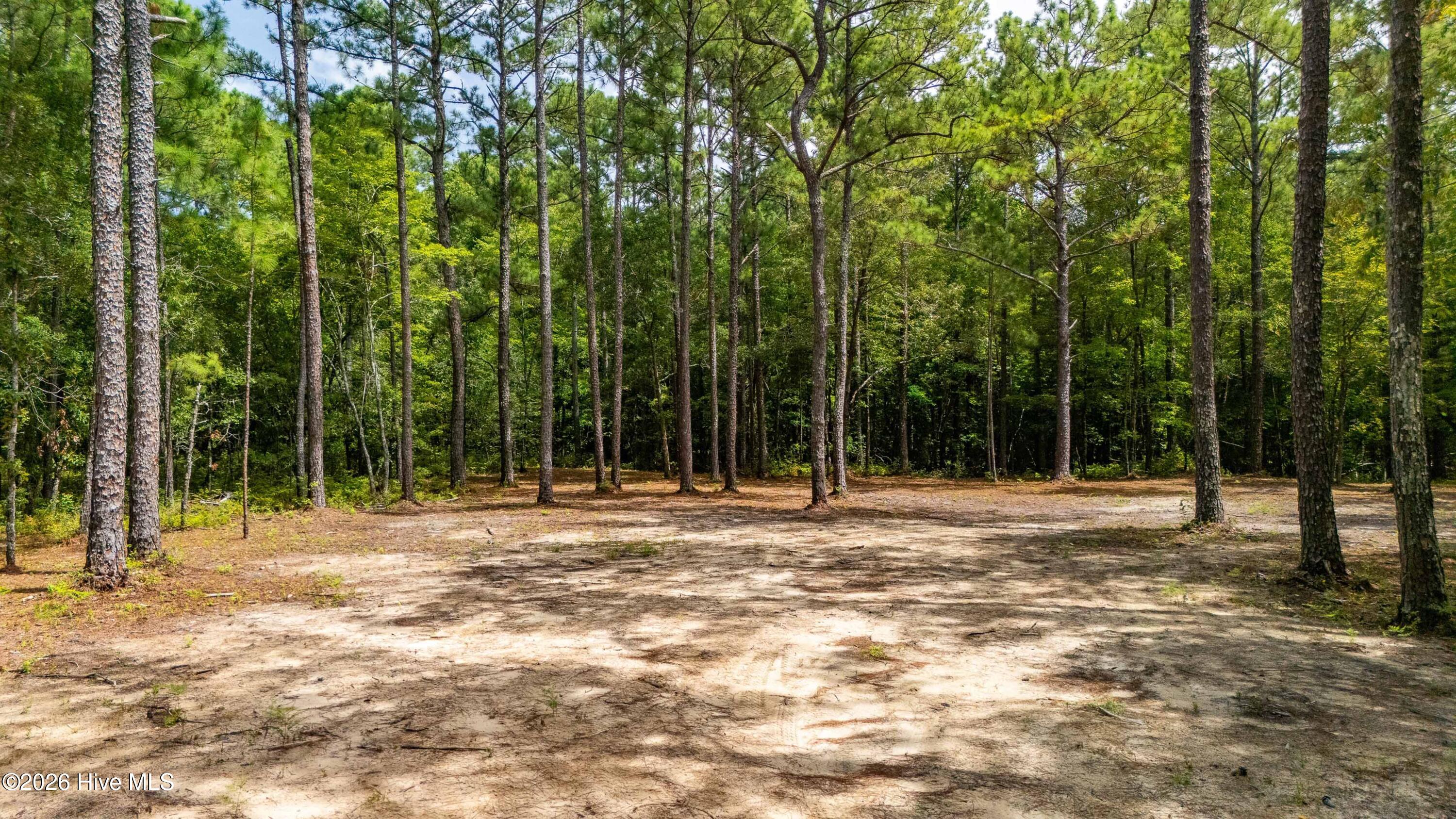 Exterior photo of 000 14 & 15 Jeff Road, Arapahoe, NC 28510. MLS: 100596364