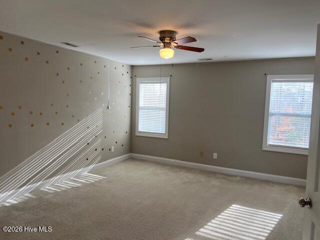 100552837 | Photo 14