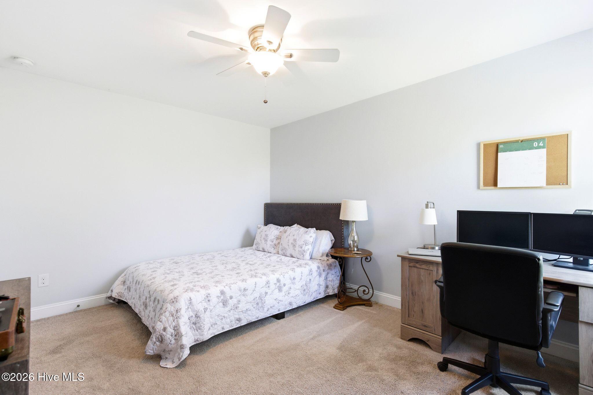 100566118 | Photo 32