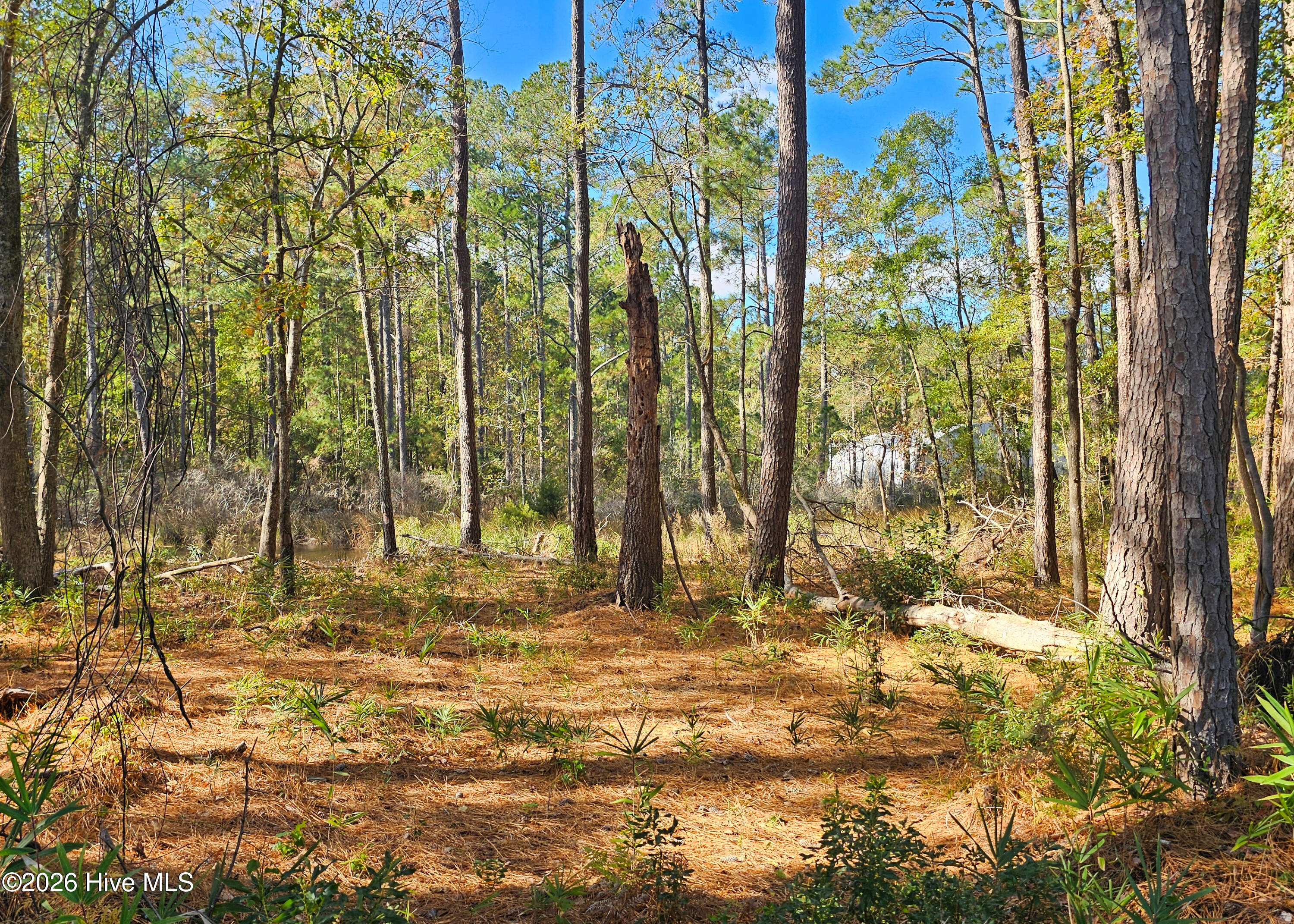Exterior photo of 0 Barnes Foster Loop Road, Belhaven, NC 27810. MLS: 100476416