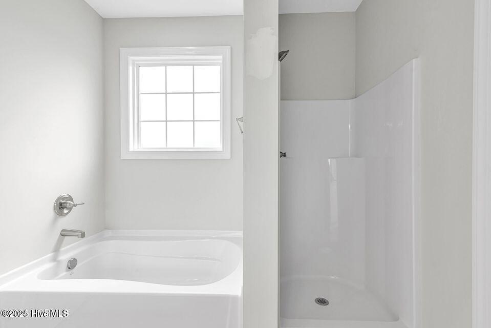 100541742 | Photo 24