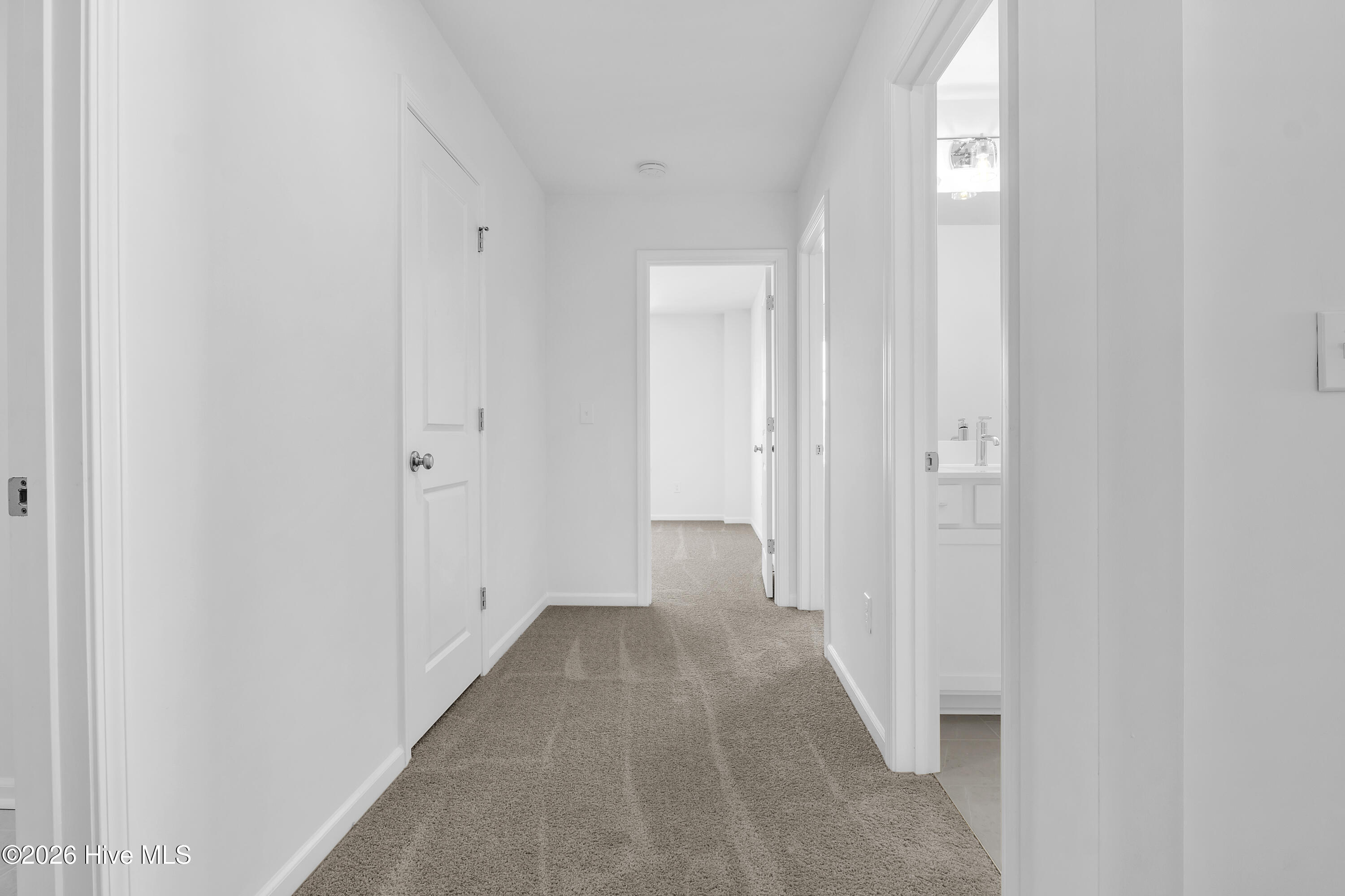 100563590 | Photo 35