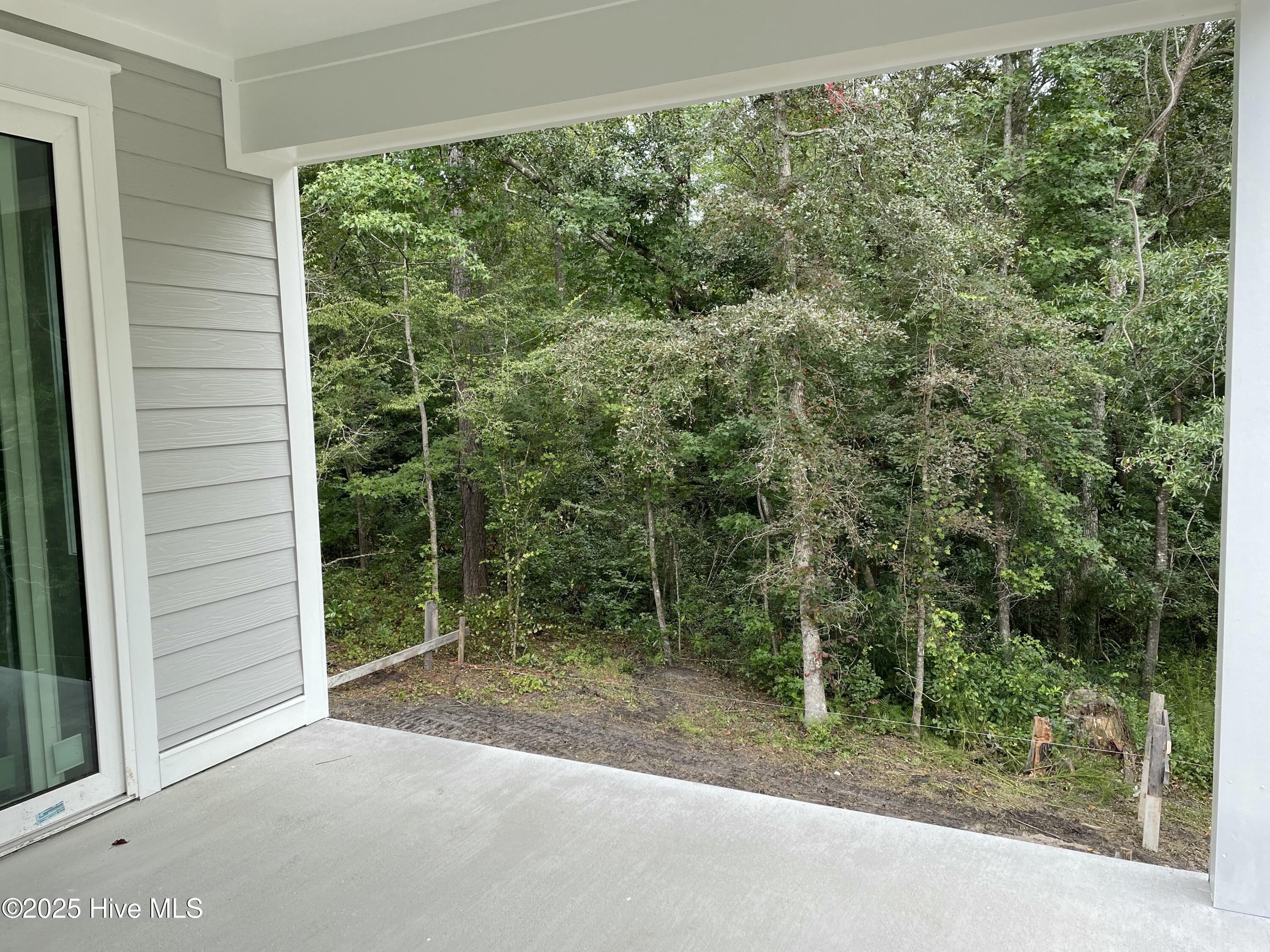 100528039 | Photo 23