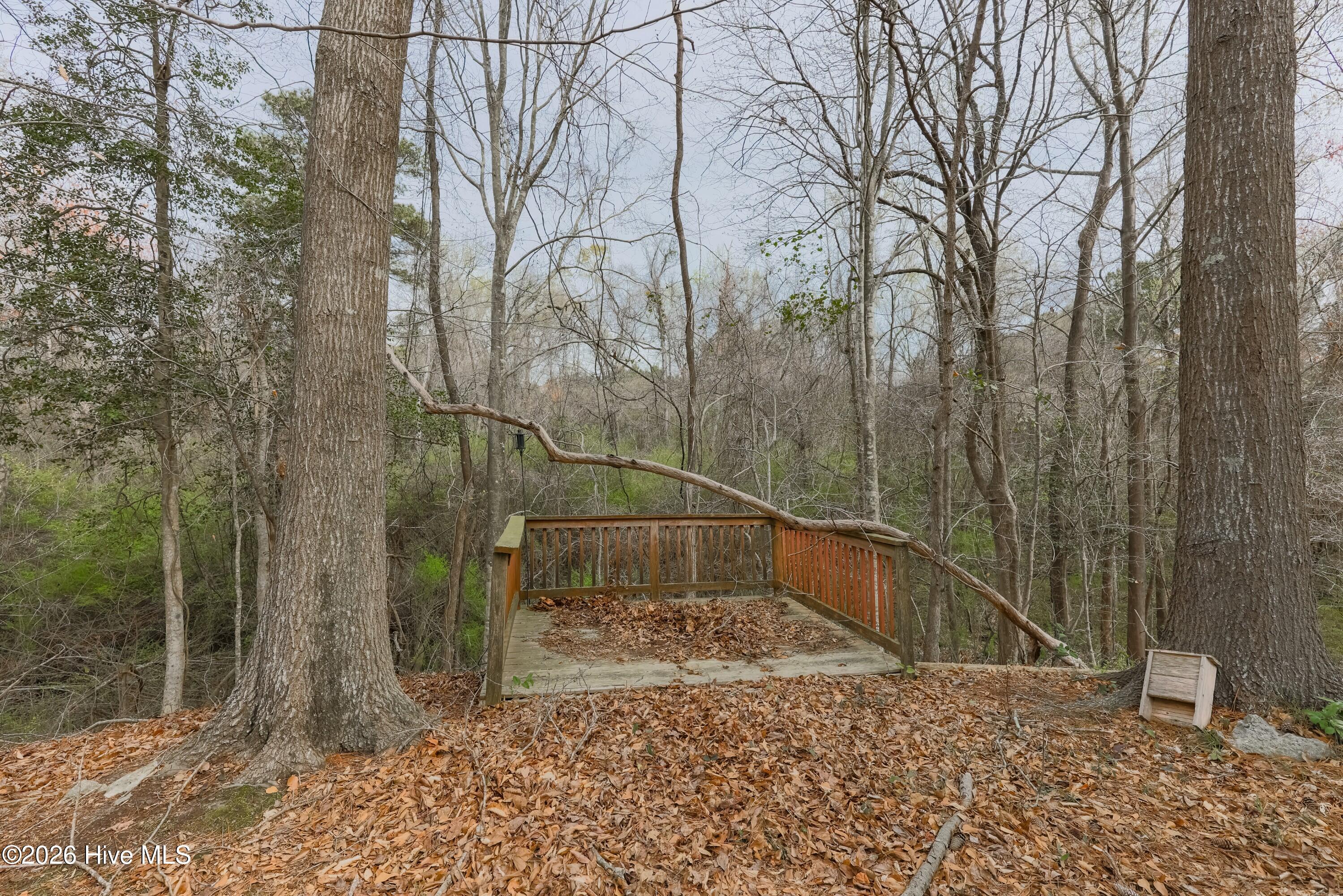 381 Washington Creek Drive, Willard, NC 28478 – photo 22: _K6A0010 (Custom)