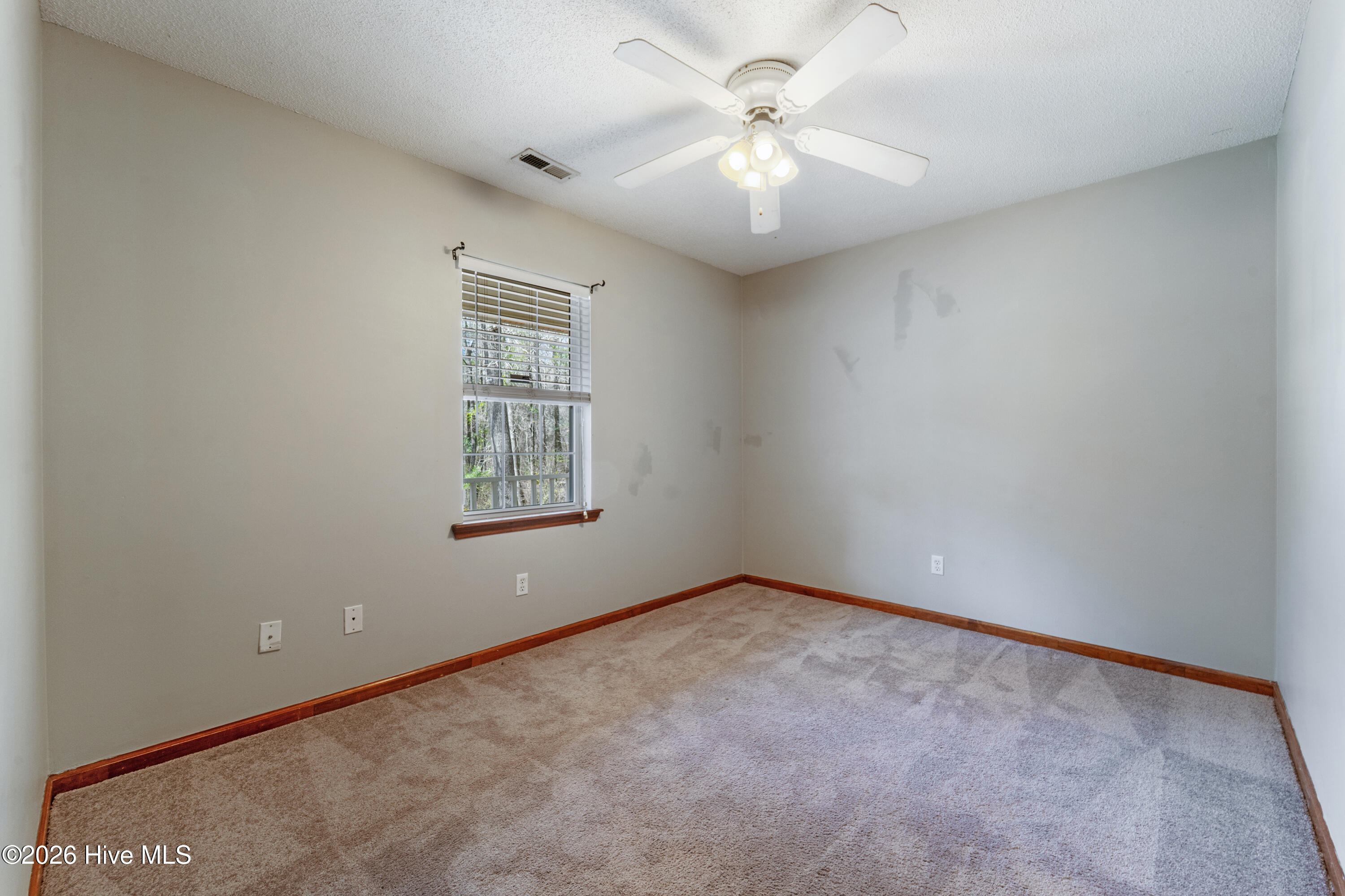 100557968 | Photo 32