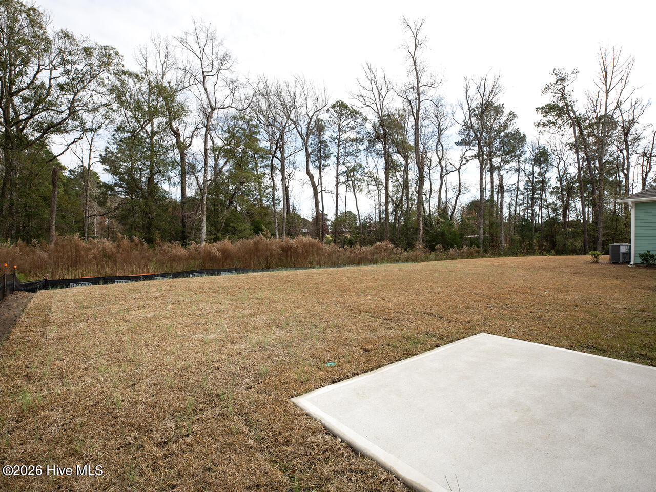 100557631 | Photo 43