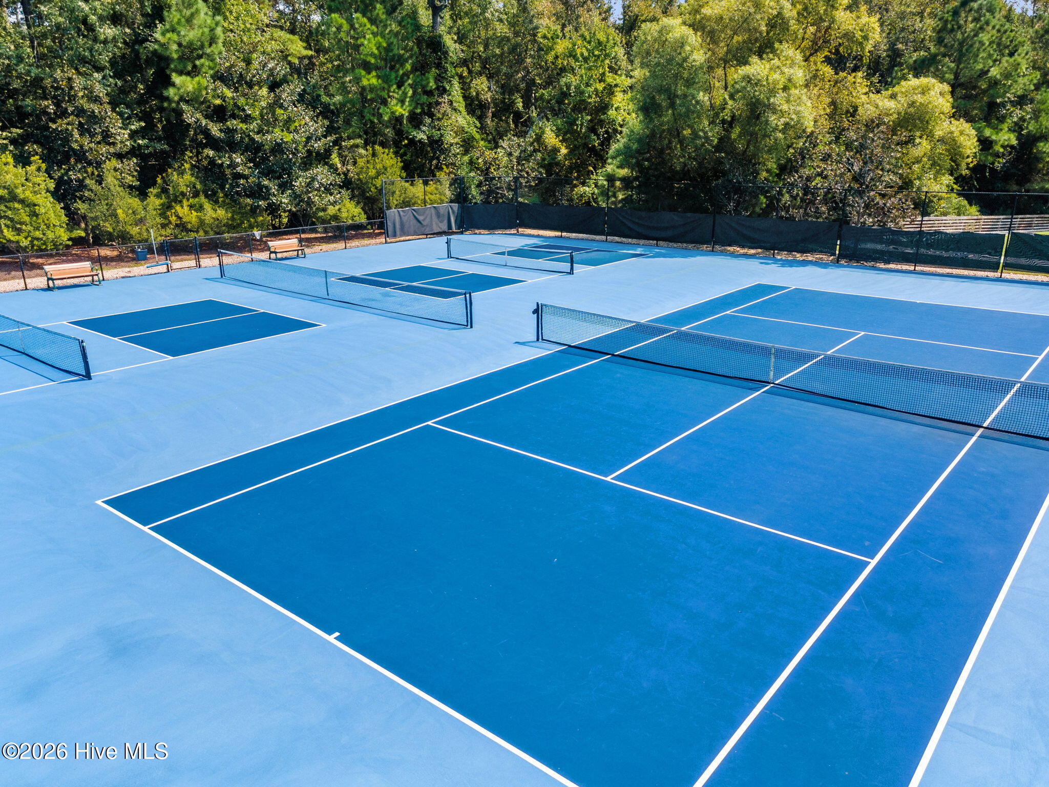 100563731 | Photo 76