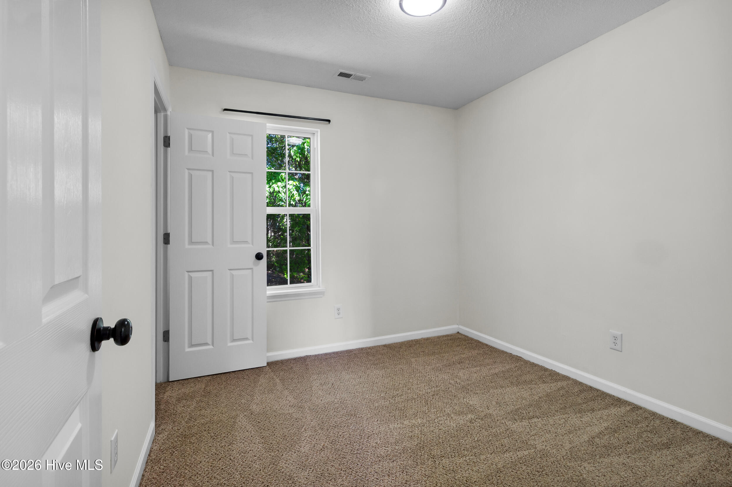 100566556 | Photo 15