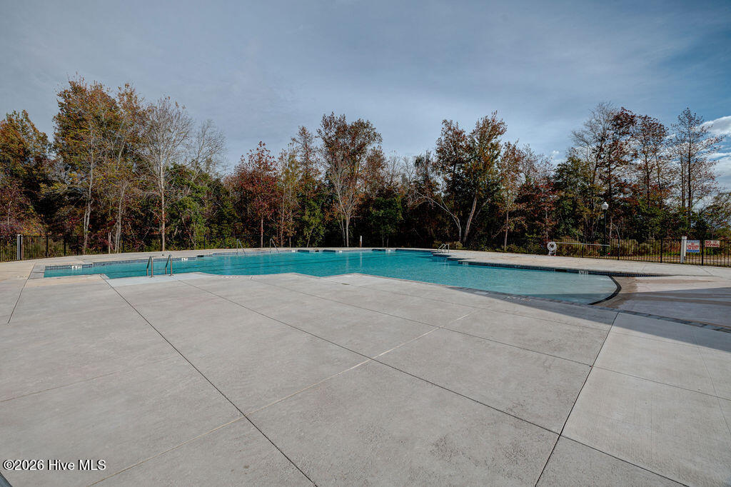 100558265 | Photo 70