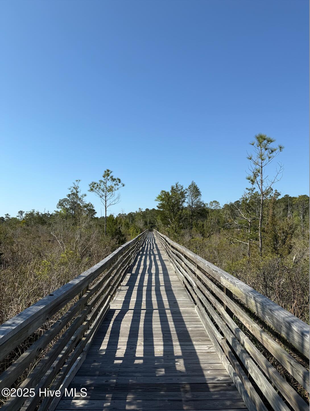 100501798 | Photo 11