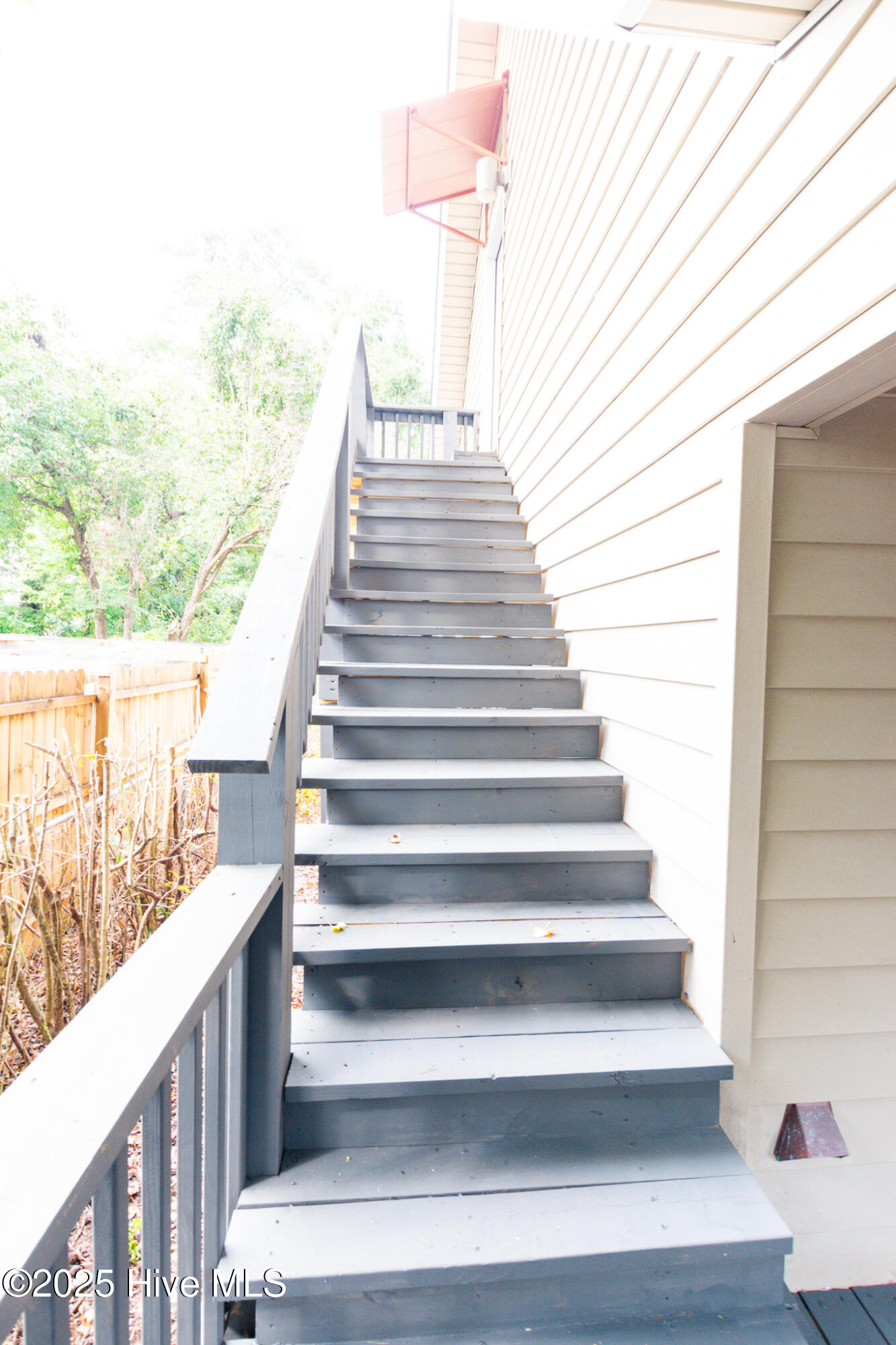 100529268 | Photo 49