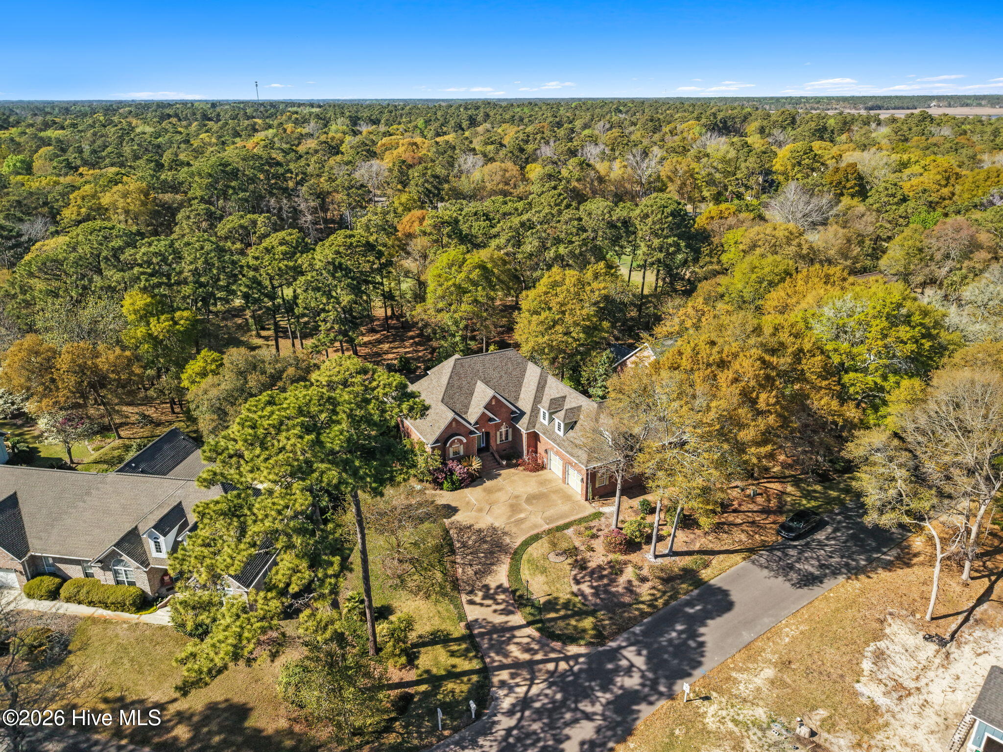 100564903 | Photo 59