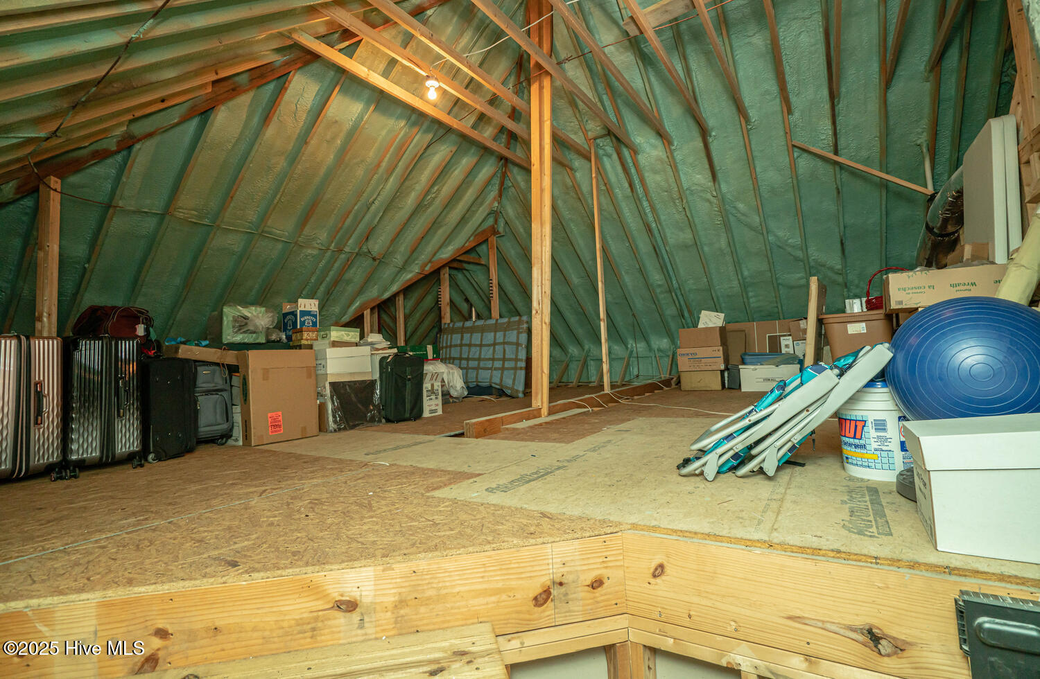 100558070 | Photo 46