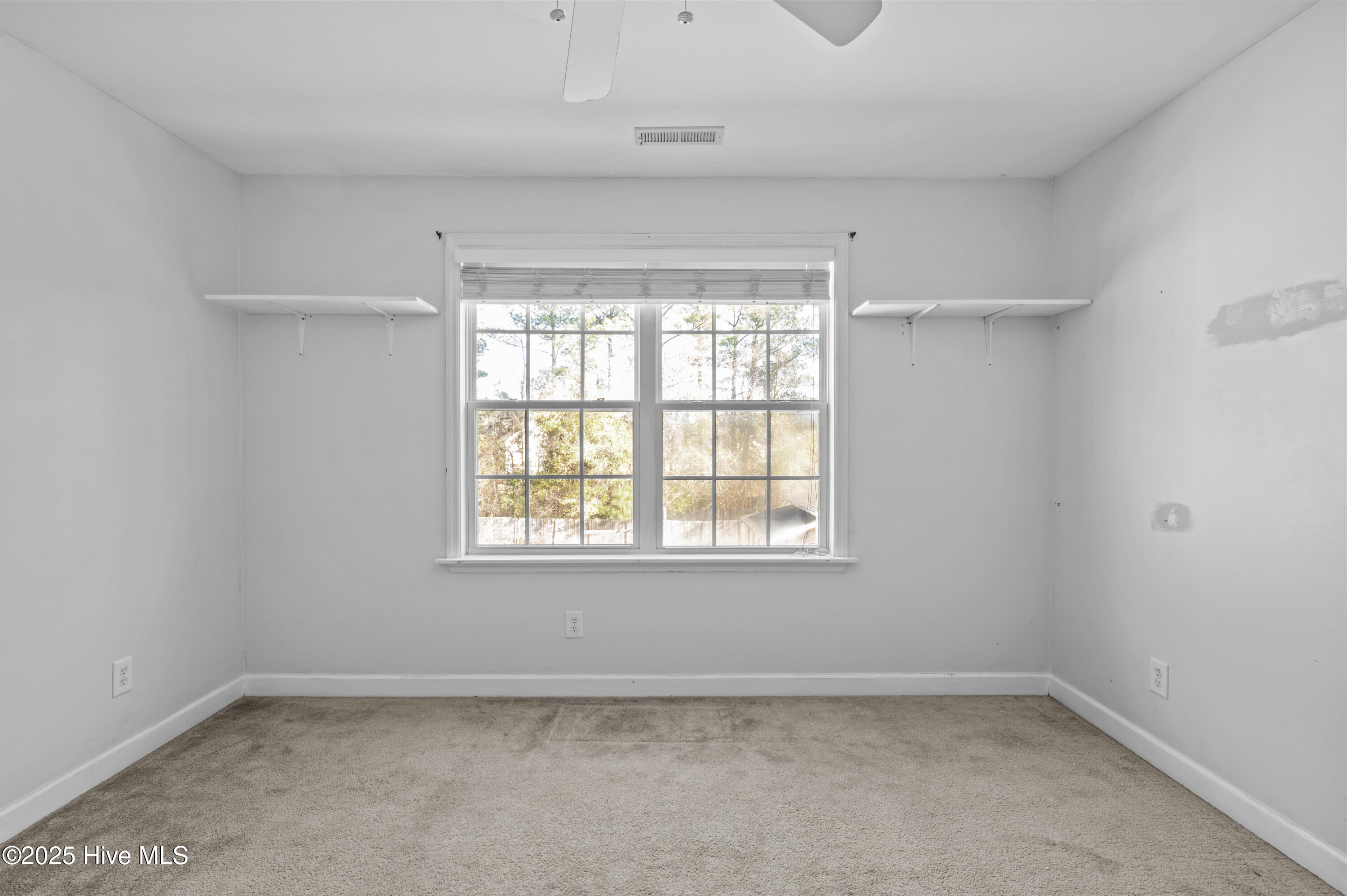 100546481 | Photo 16