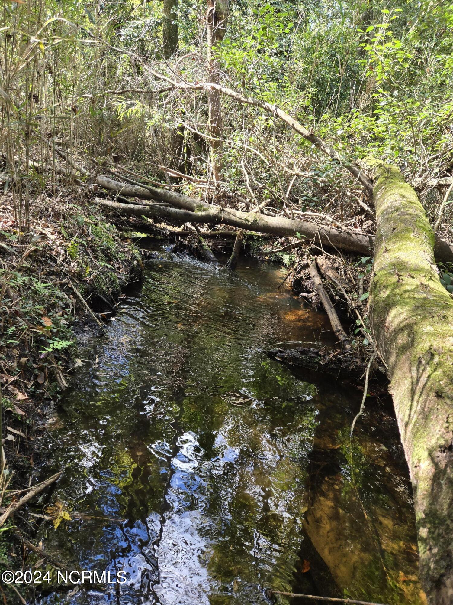 100471654 | Photo 11