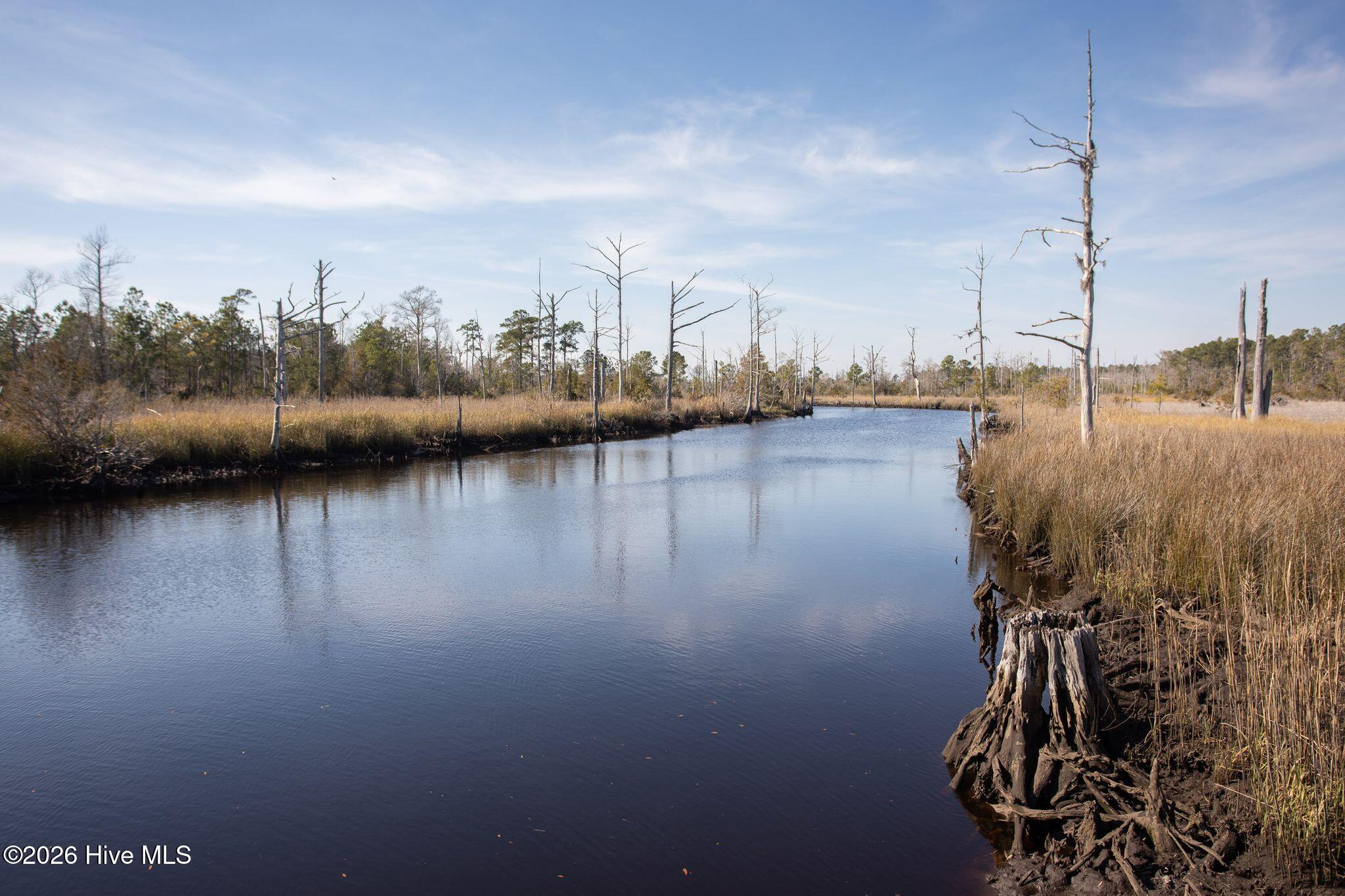 100560702 | Photo 107