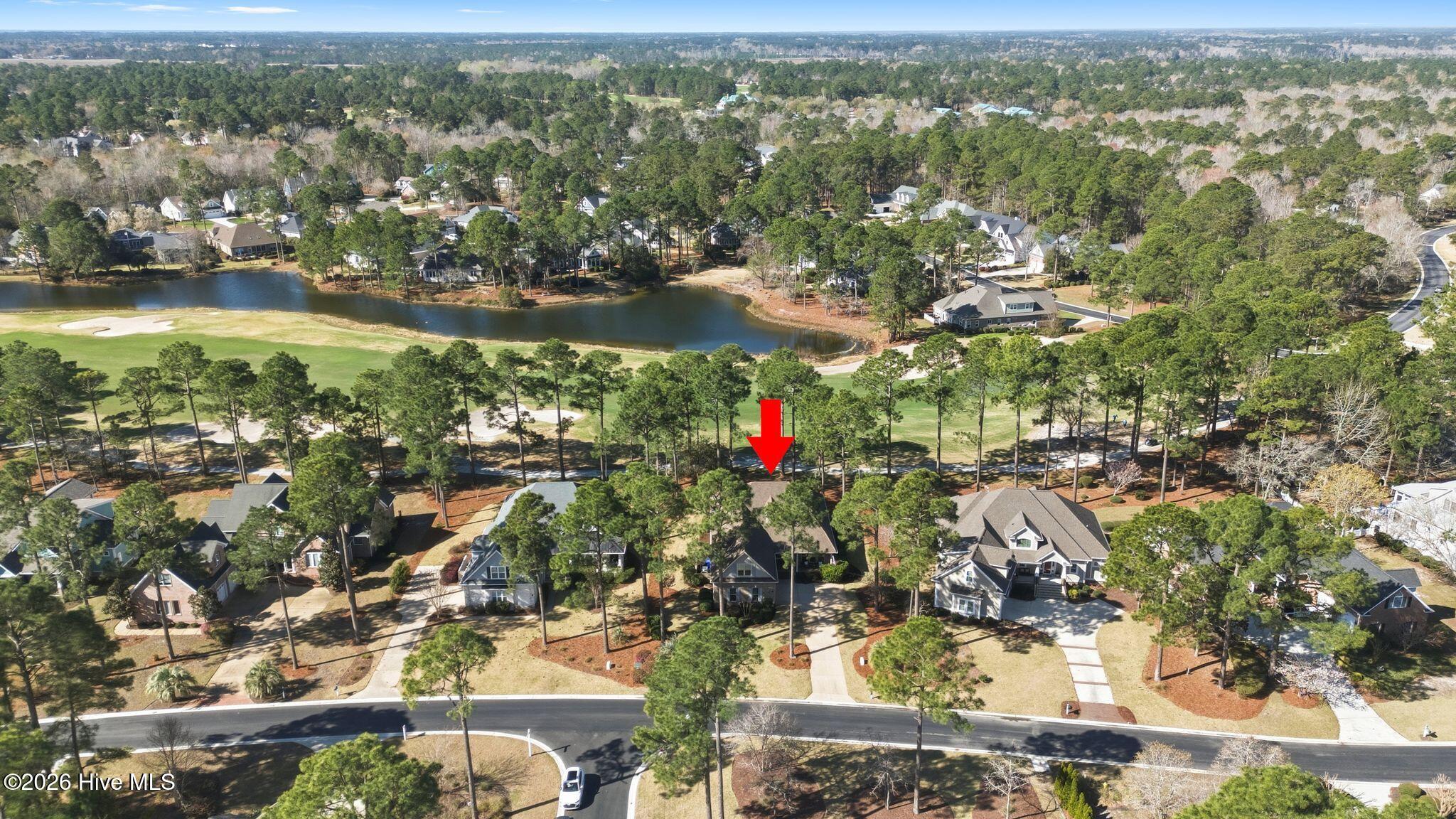 100564432 | Photo 95