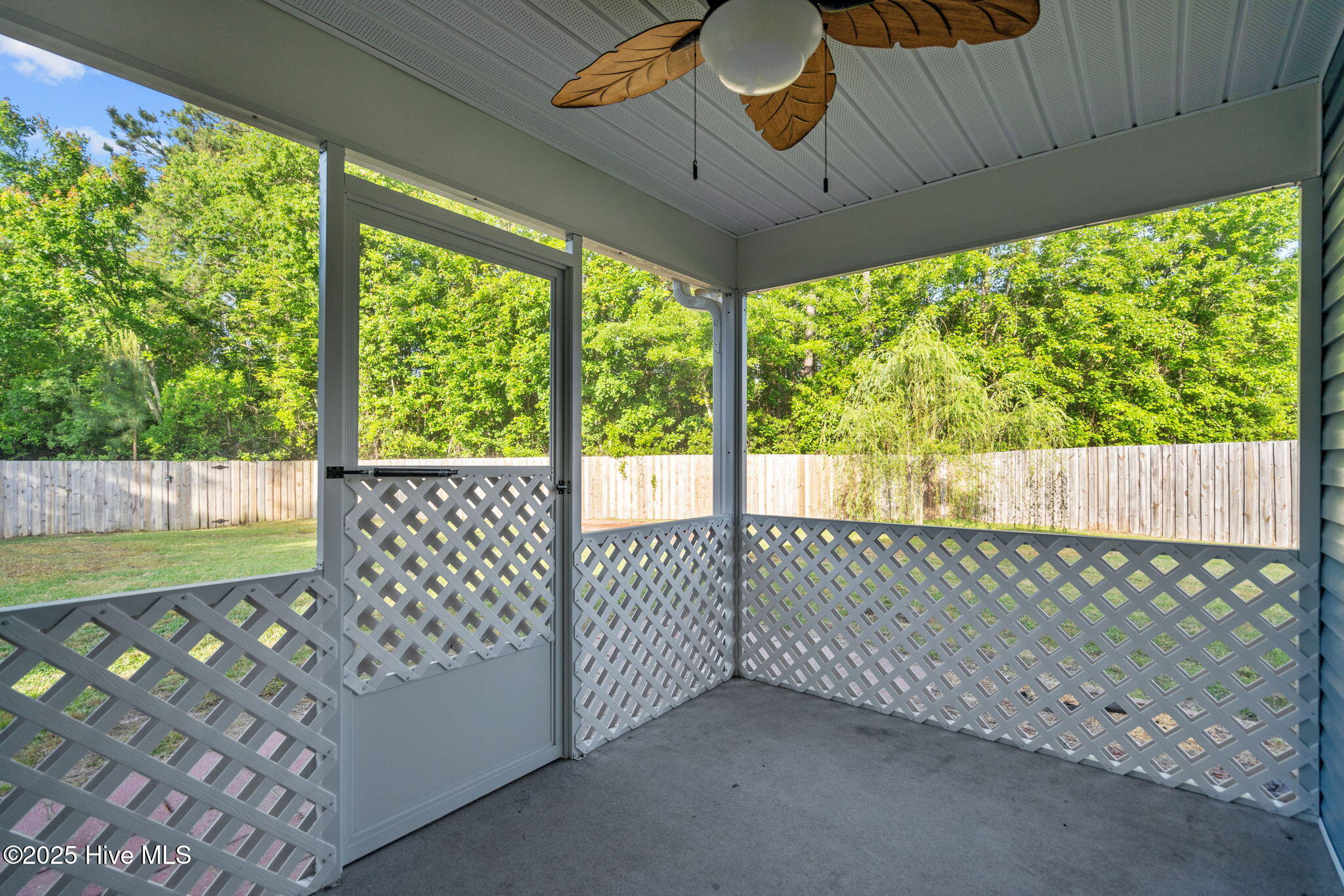 100539889 | Photo 25