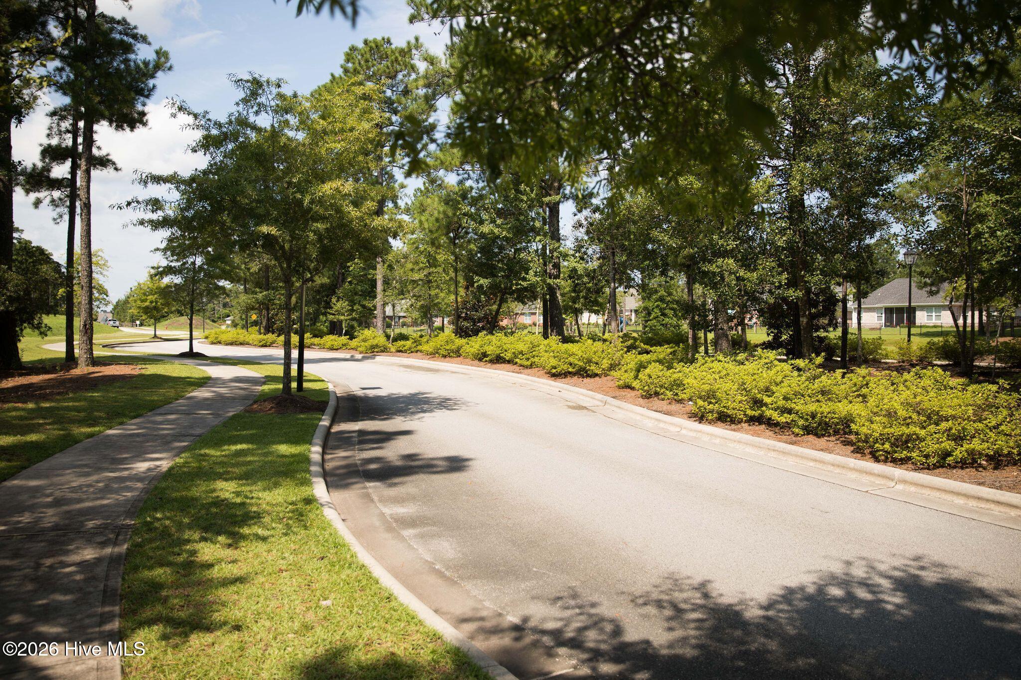 100567646 | Photo 82