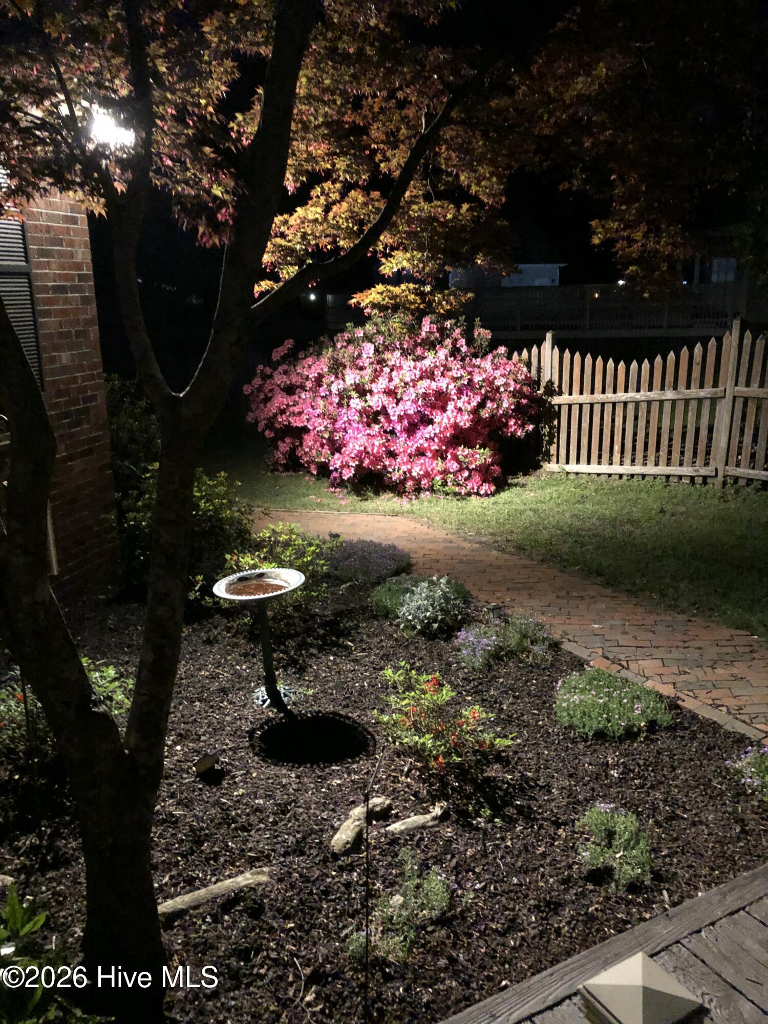 100570144 | Photo 35