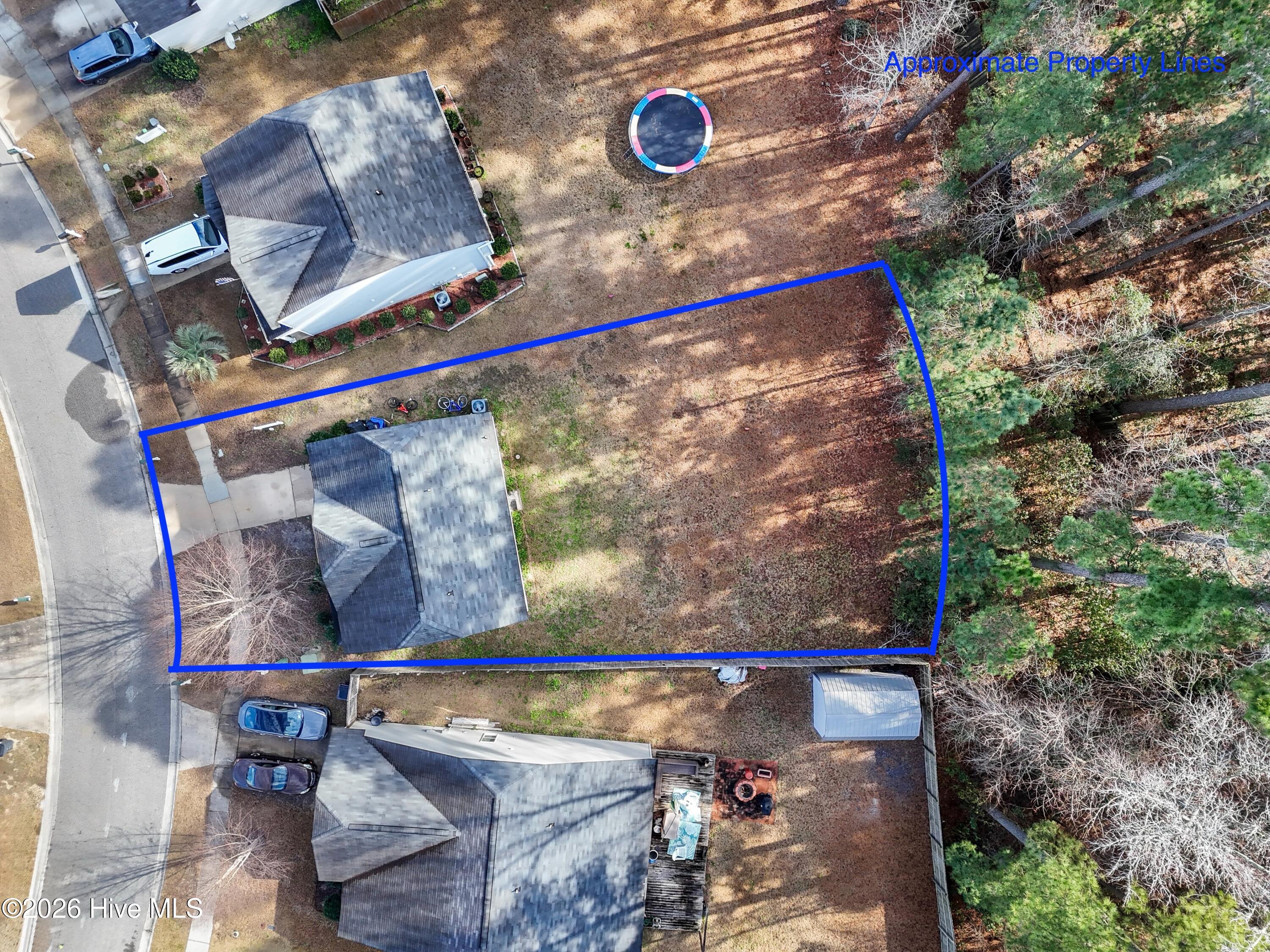 100568223 | Photo 16