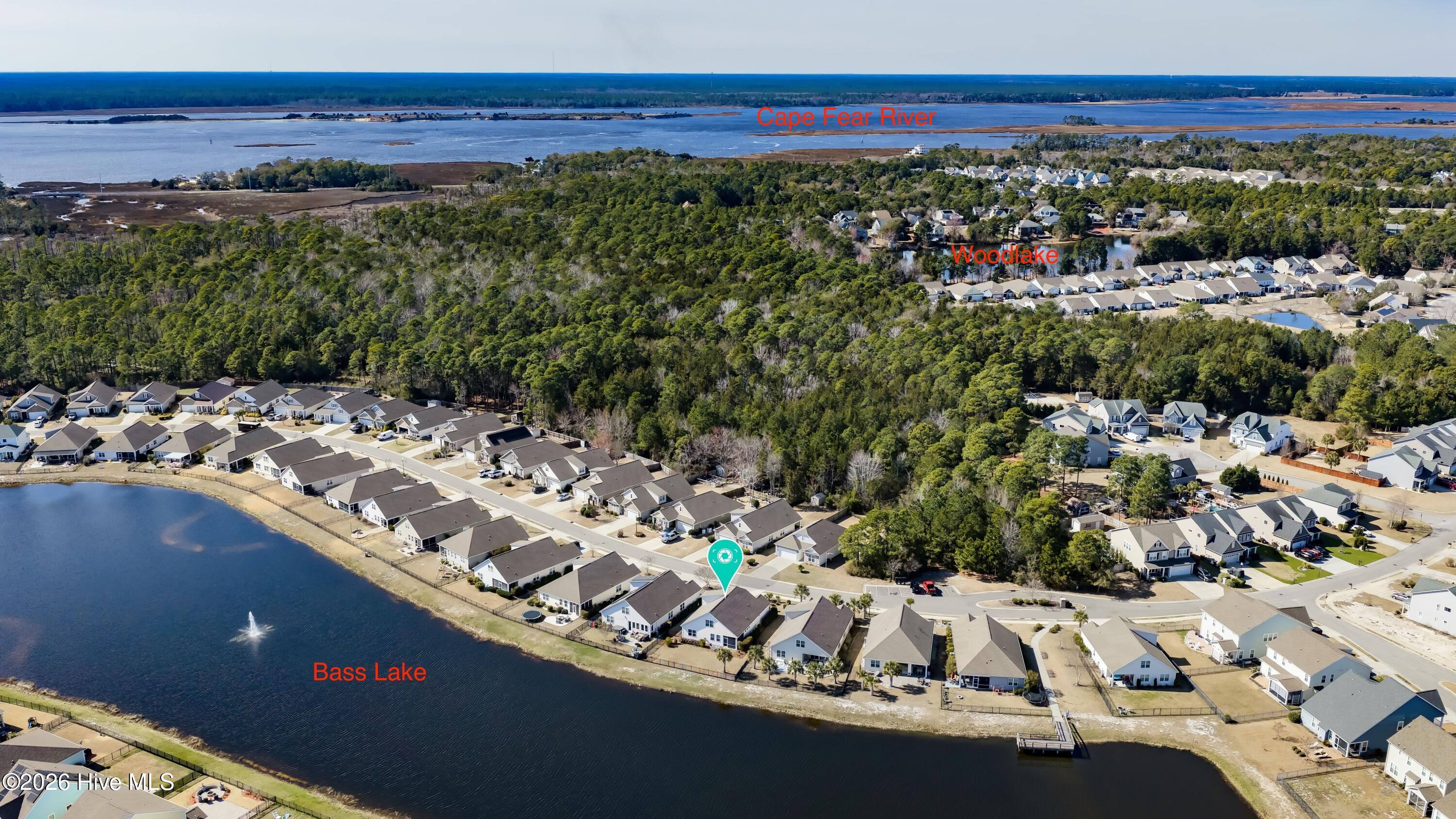 100556817 | Photo 33