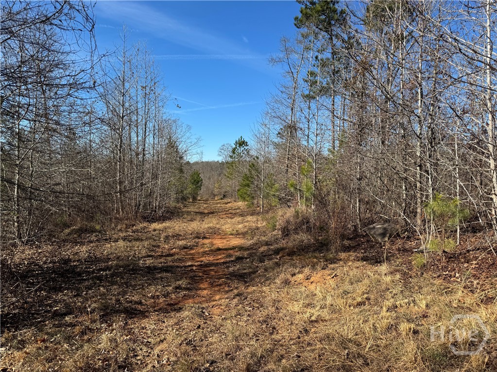 738 Old Mineral Springs Road, Elberton, GA, 30635