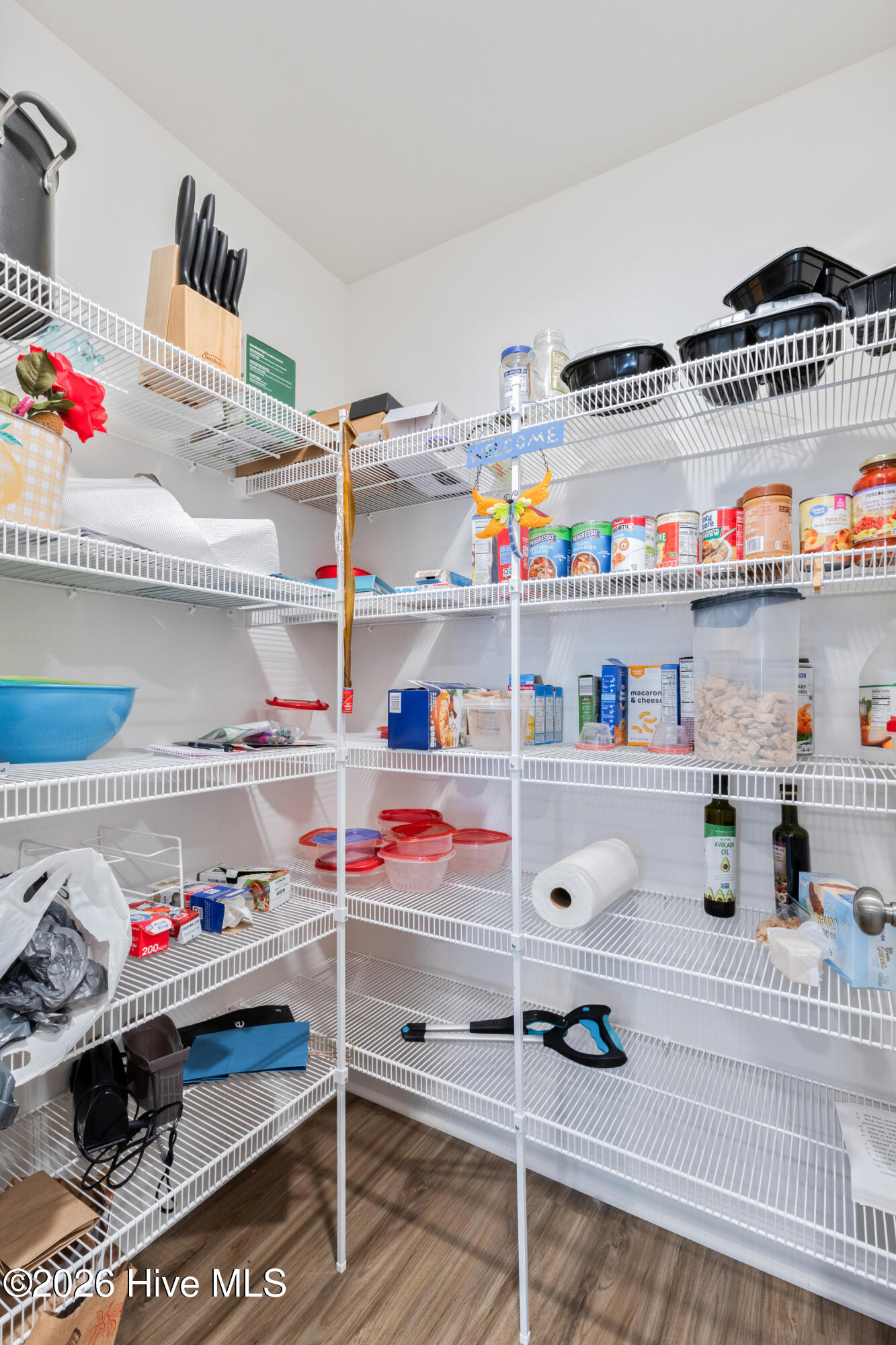 100549319 | Photo 19