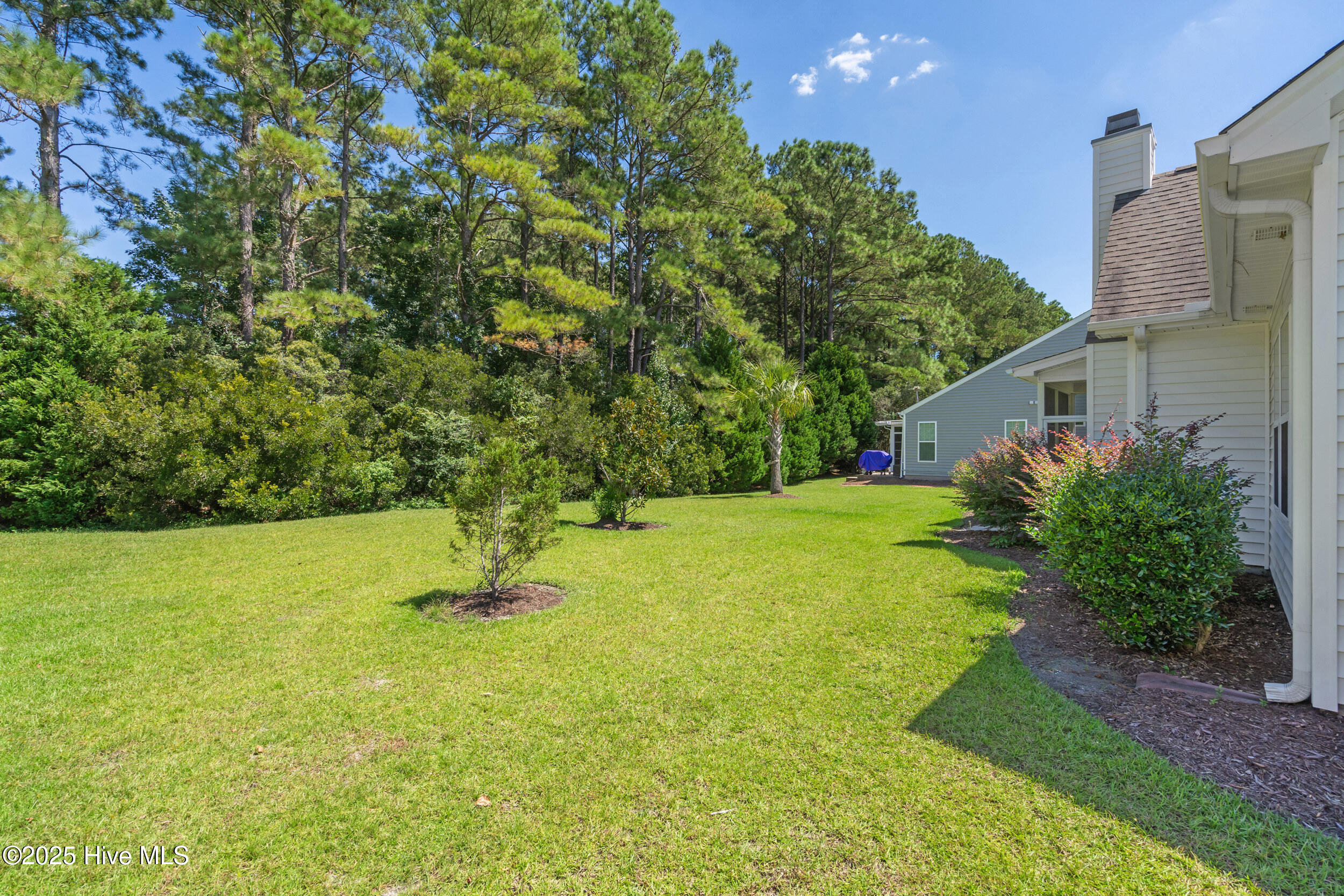 100529171 | Photo 30