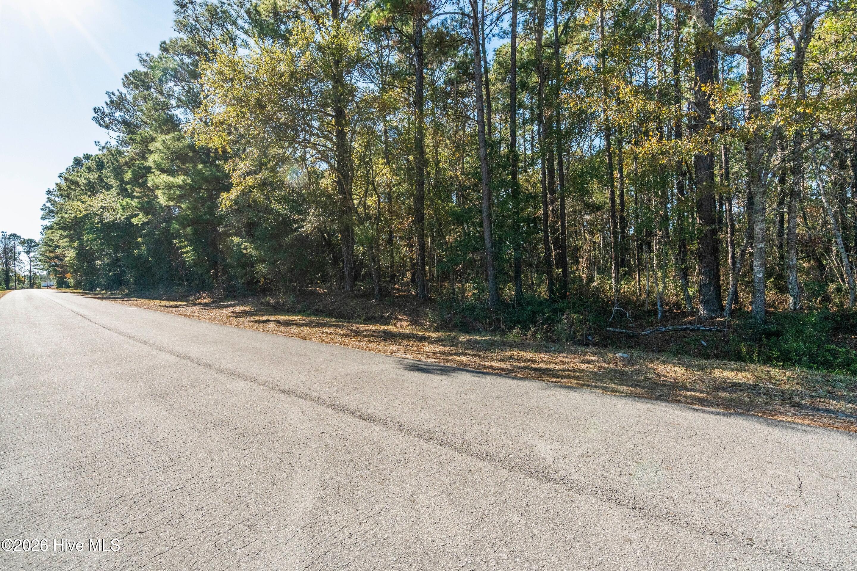 100549916 | Photo 12