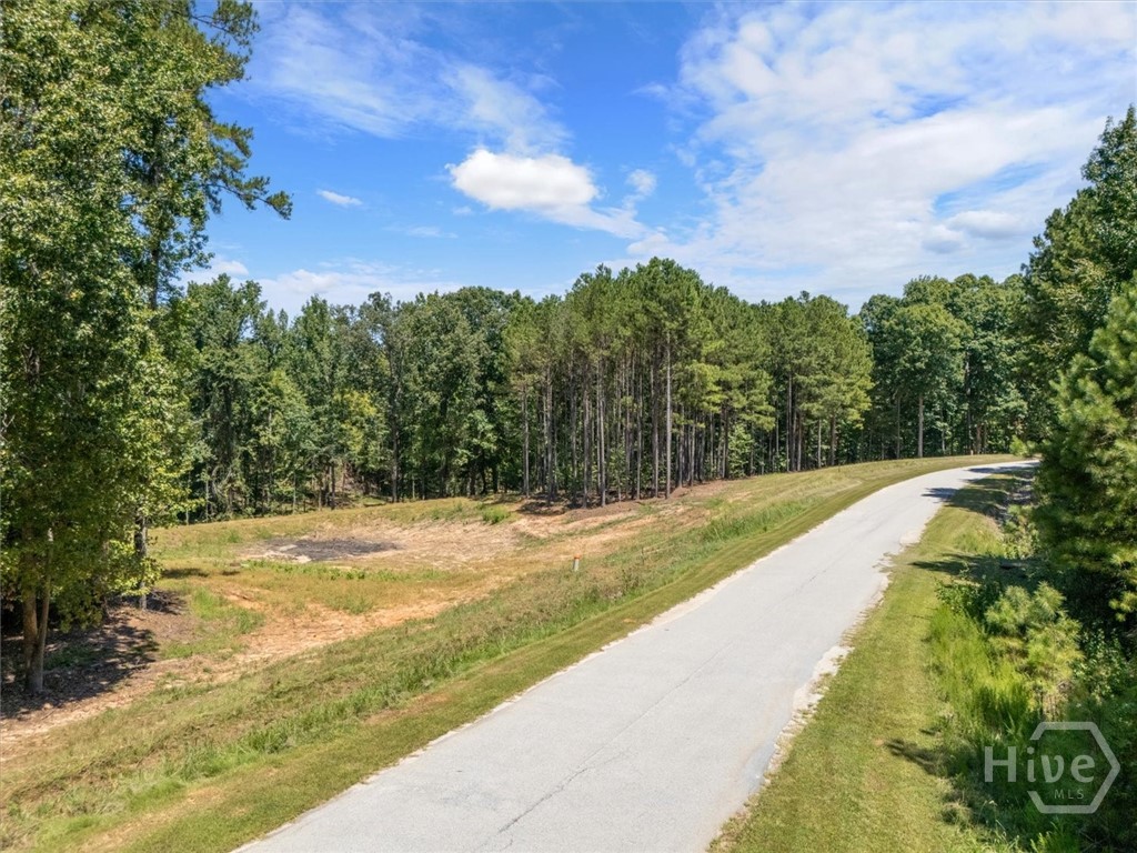 5th image of 0 Winding Ridge Dr, Tignall, GA 30668 | MLS# CL362224