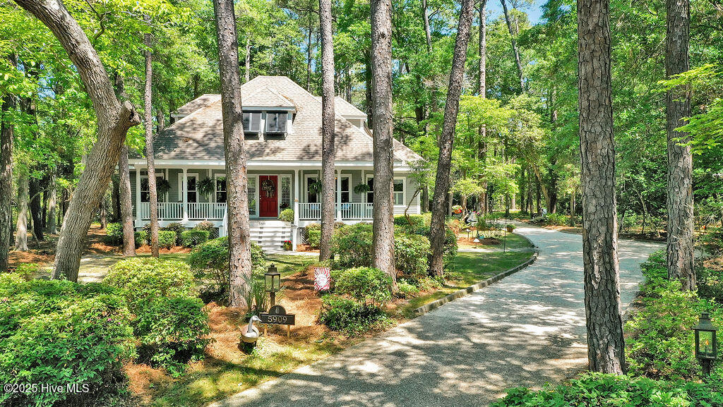 100504453 | Photo 72