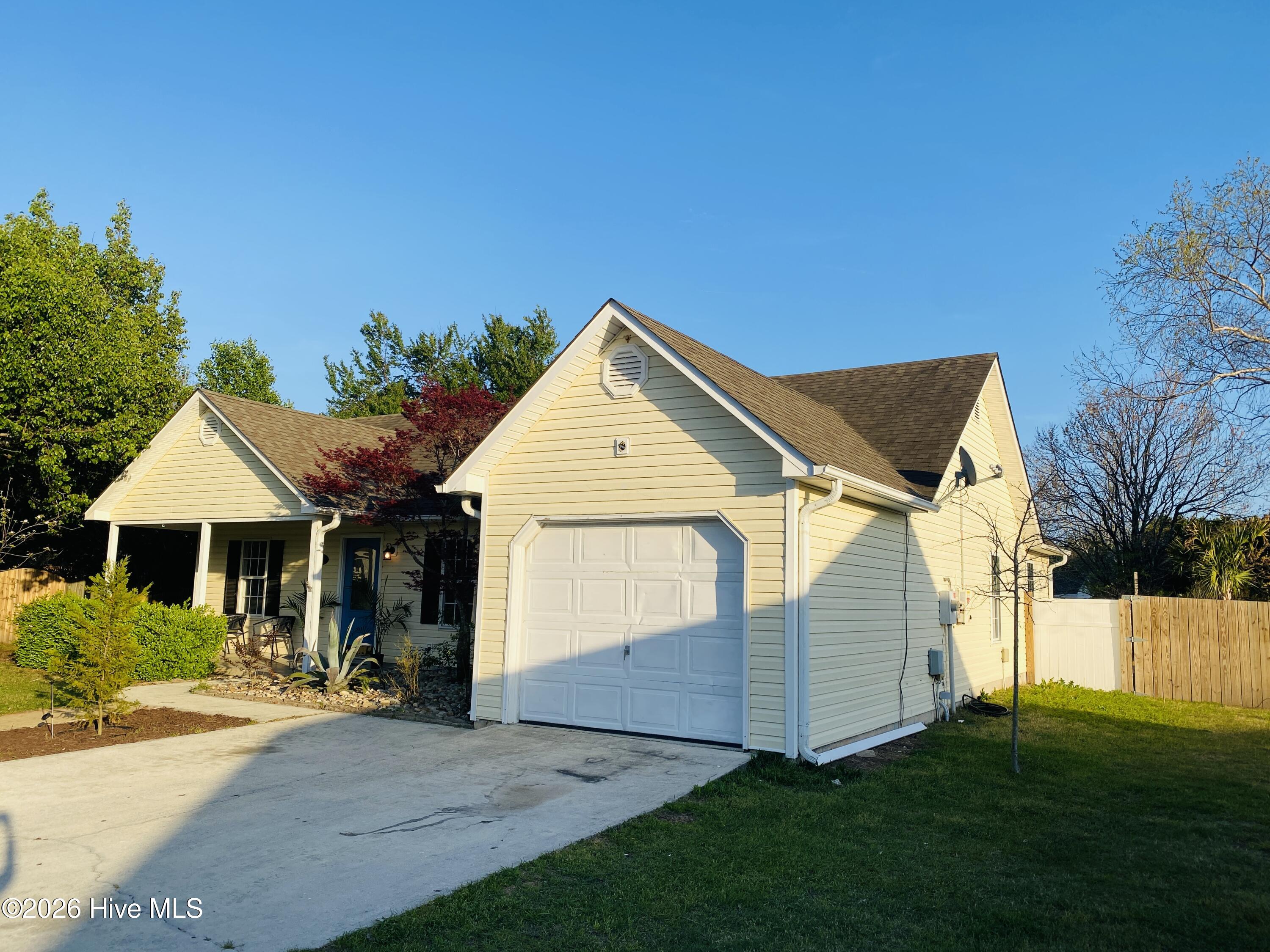 100562319 | Photo 20