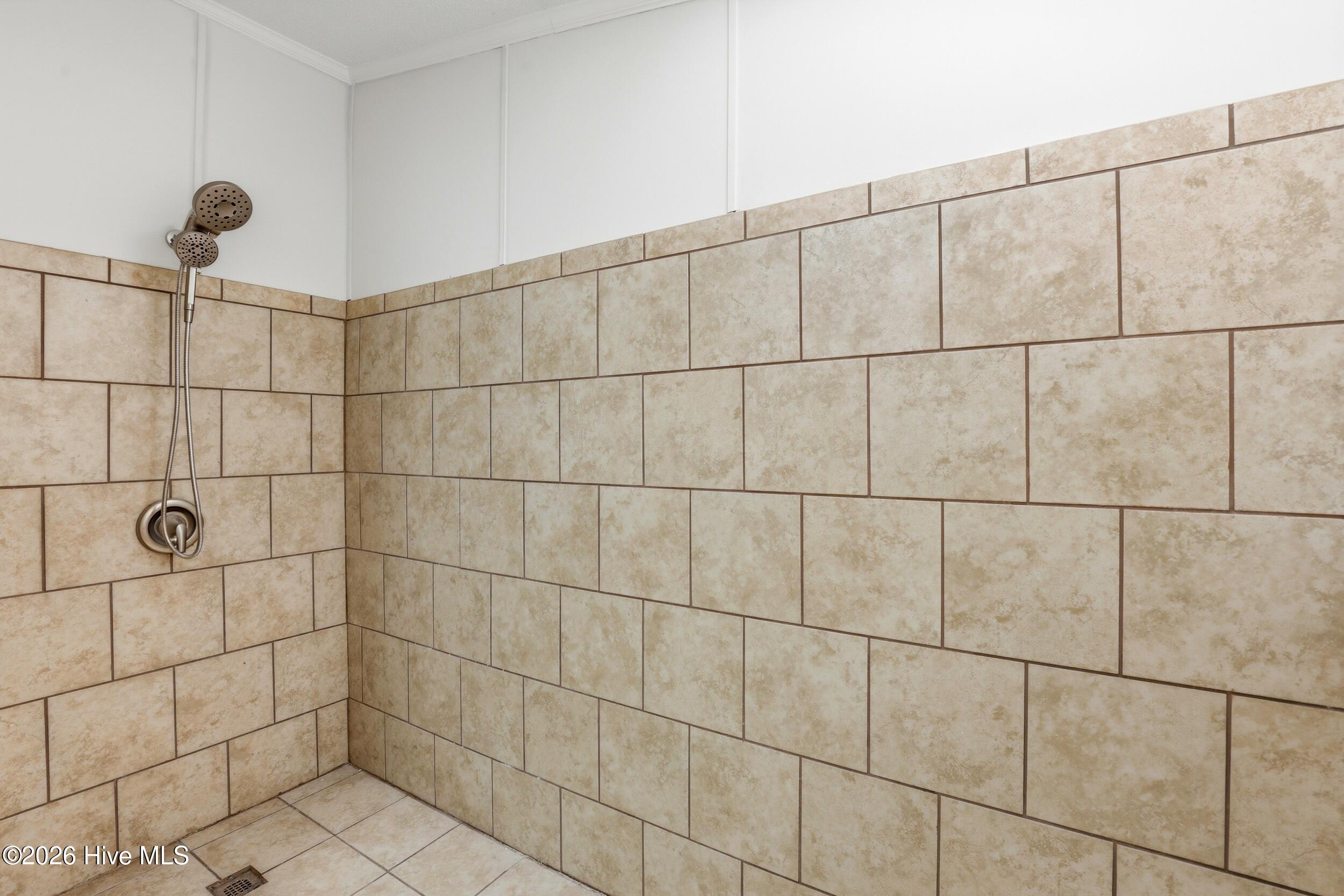 100556681 | Photo 21