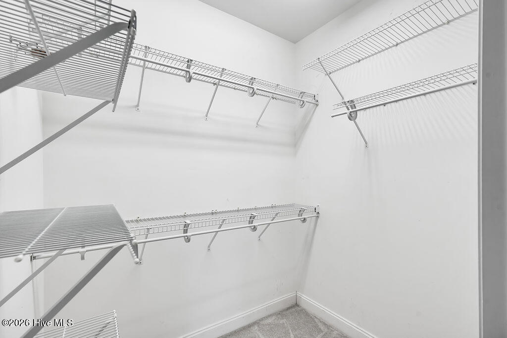 100565781 | Photo 21