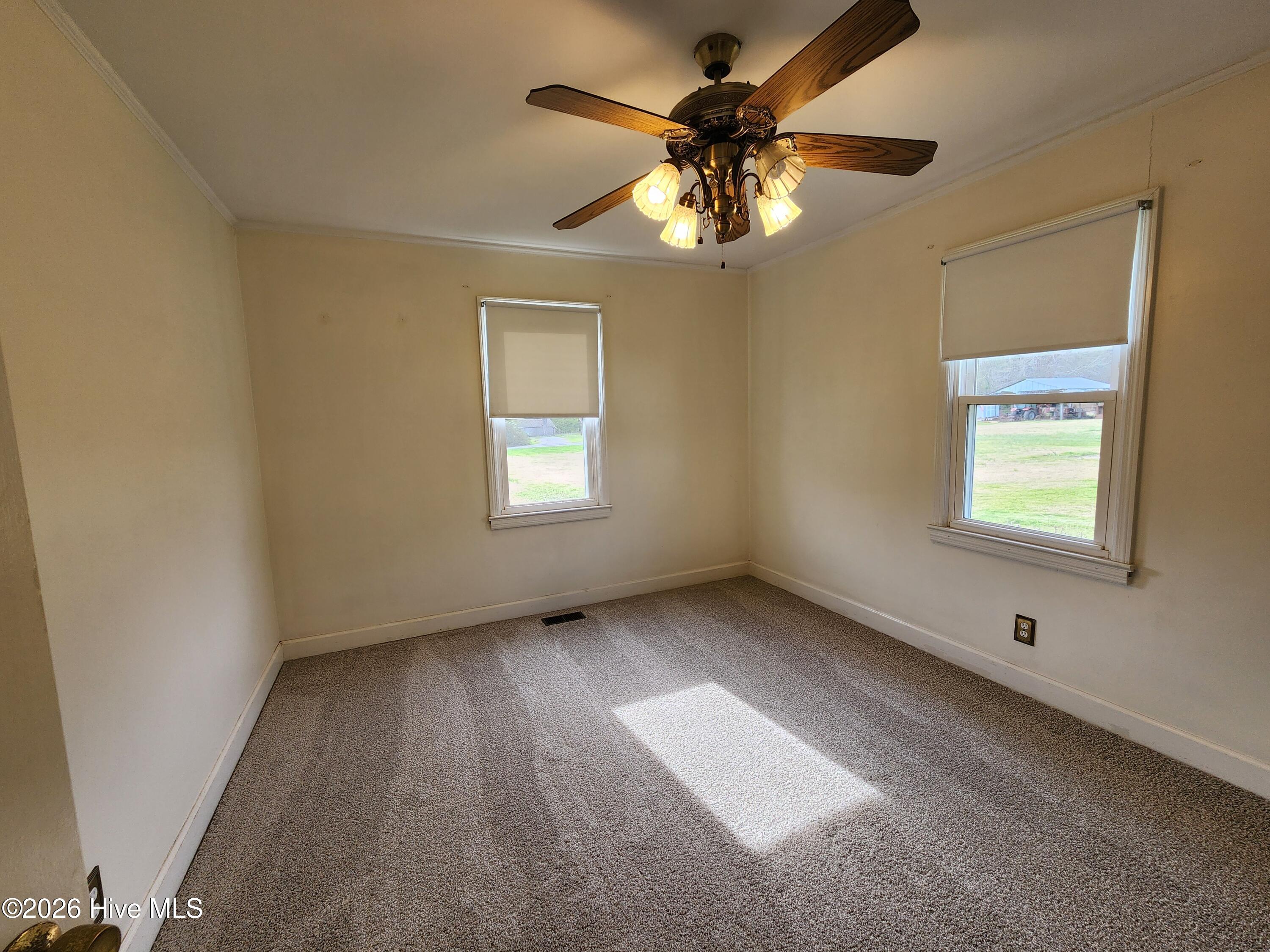 100561545 | Photo 15