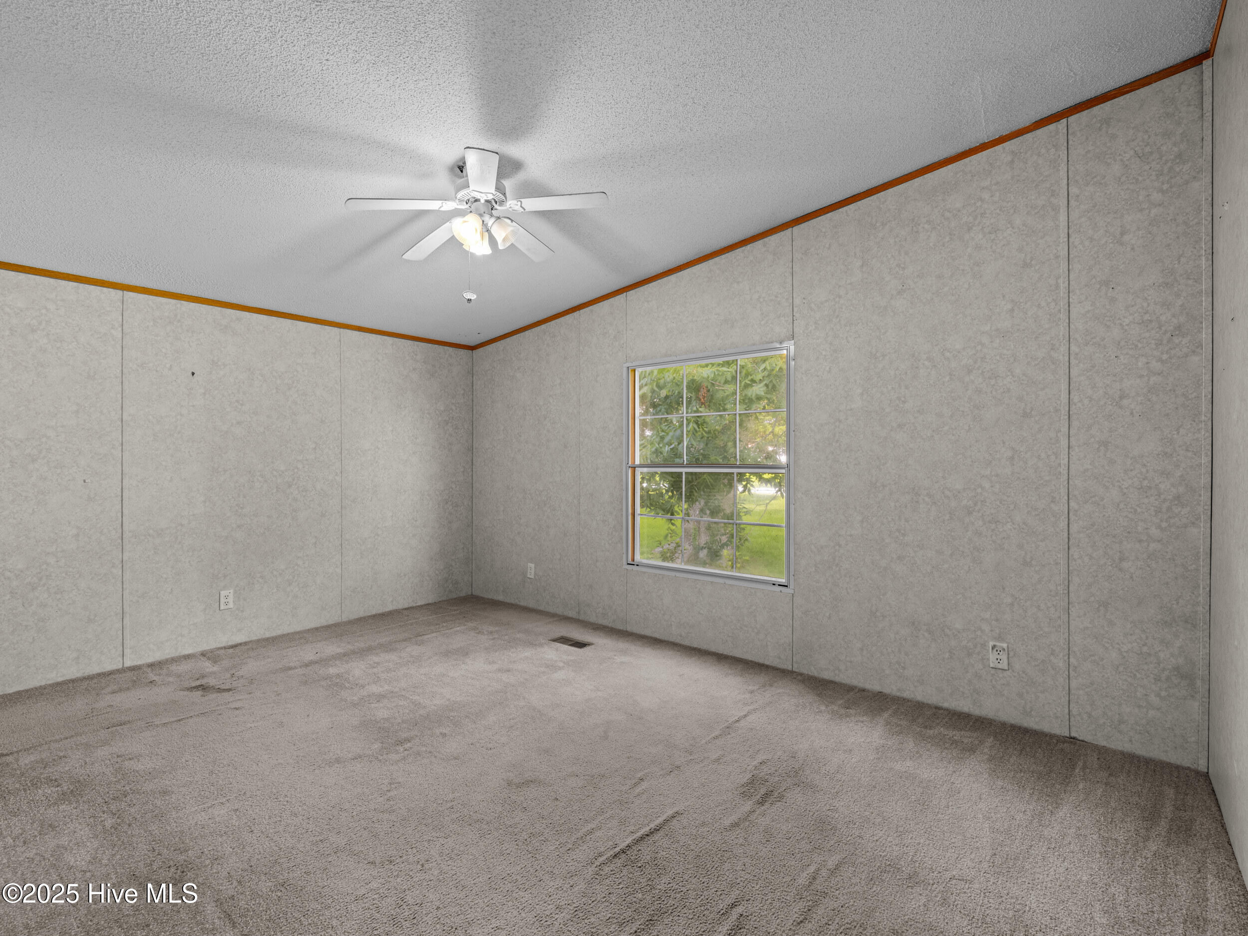 100520478 | Photo 23