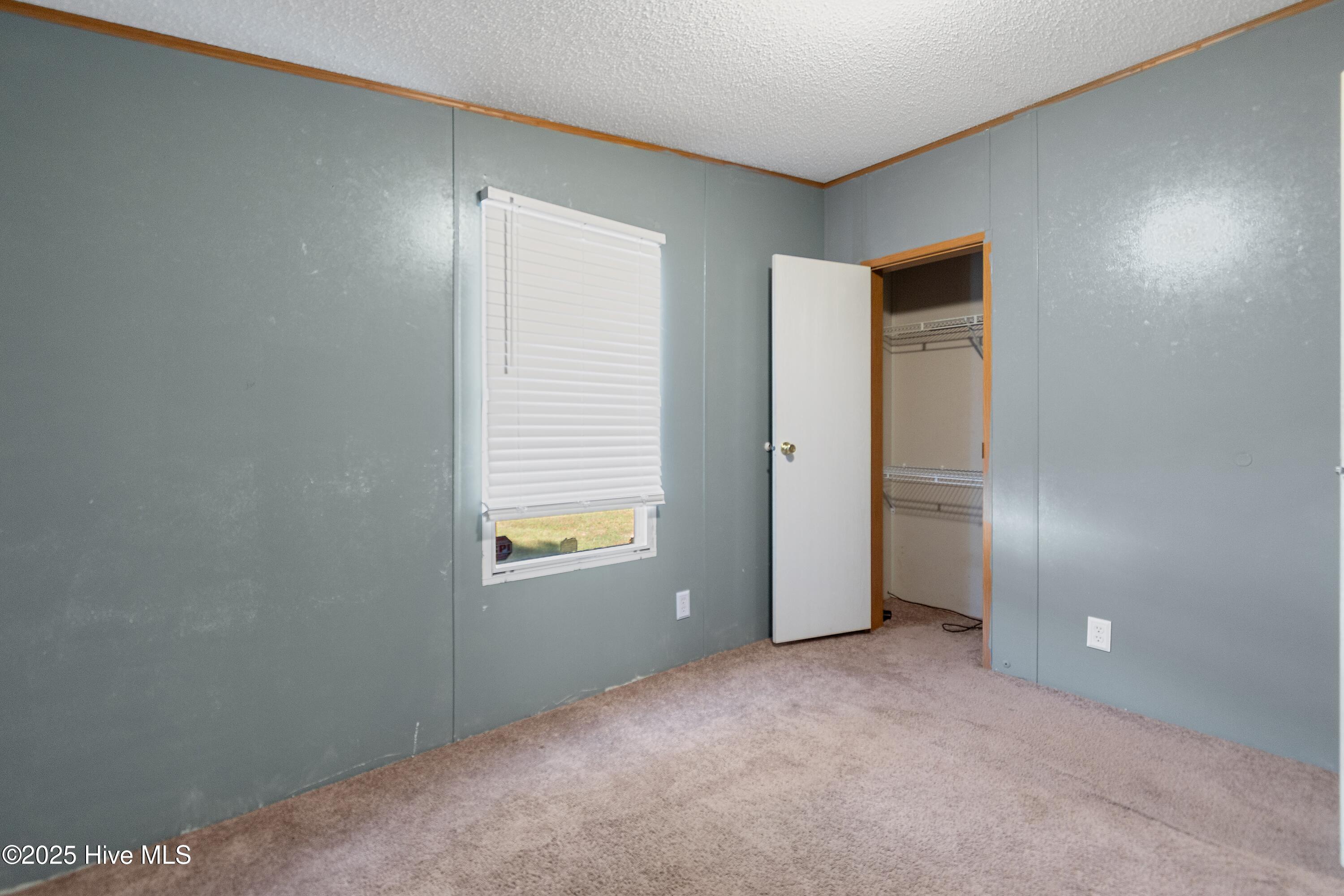 100532696 | Photo 17