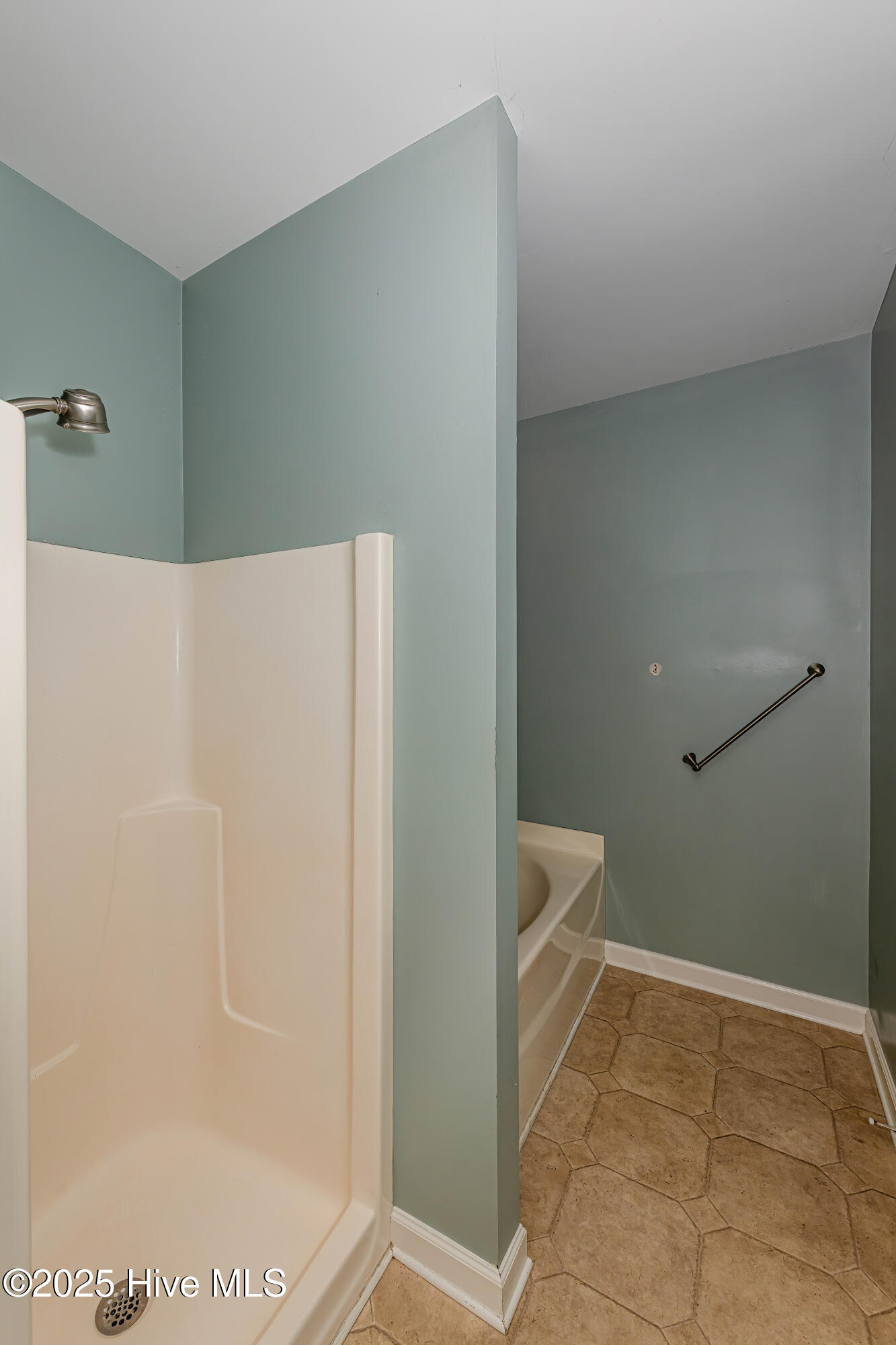 100539008 | Photo 29