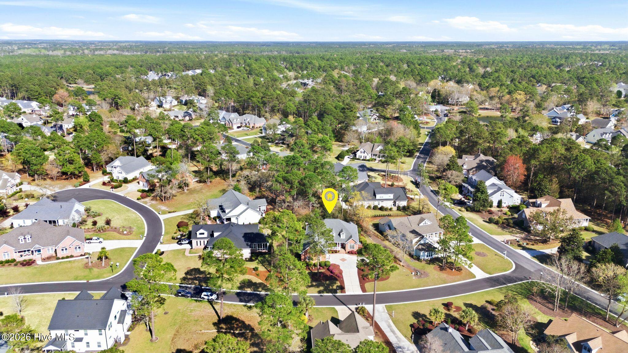 100564918 | Photo 94