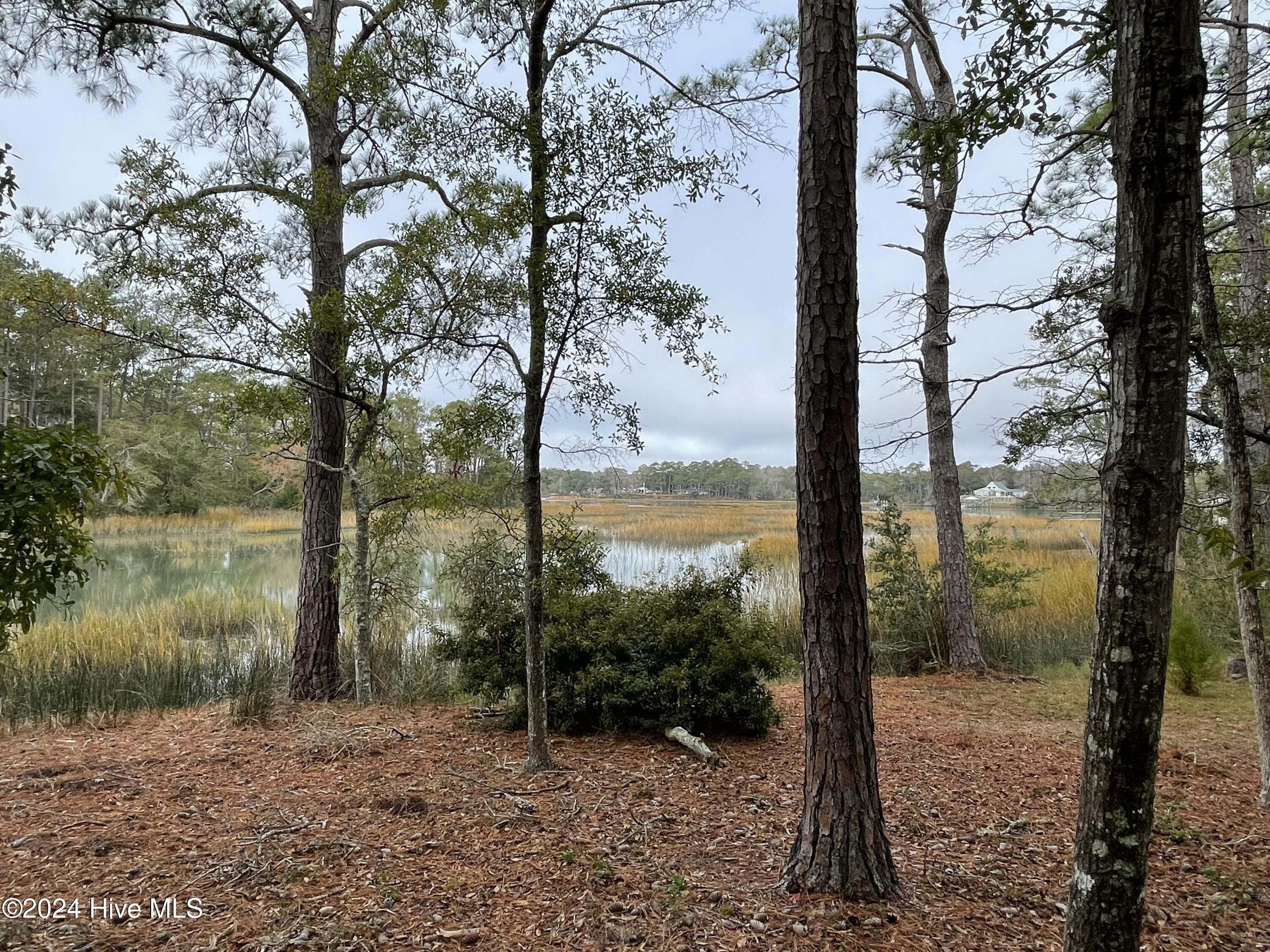 100481360 | Photo 30