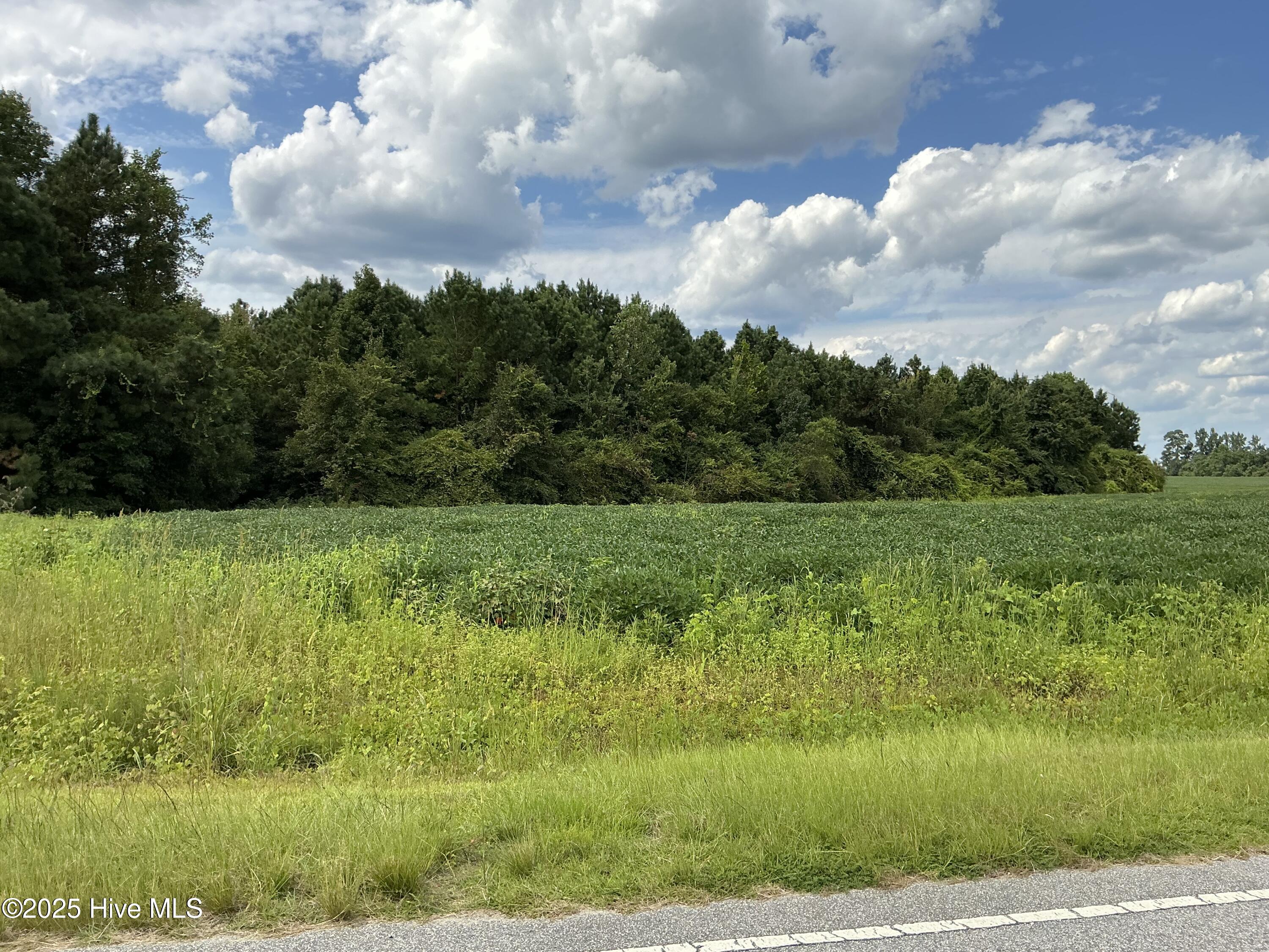 100527927 | Photo 10