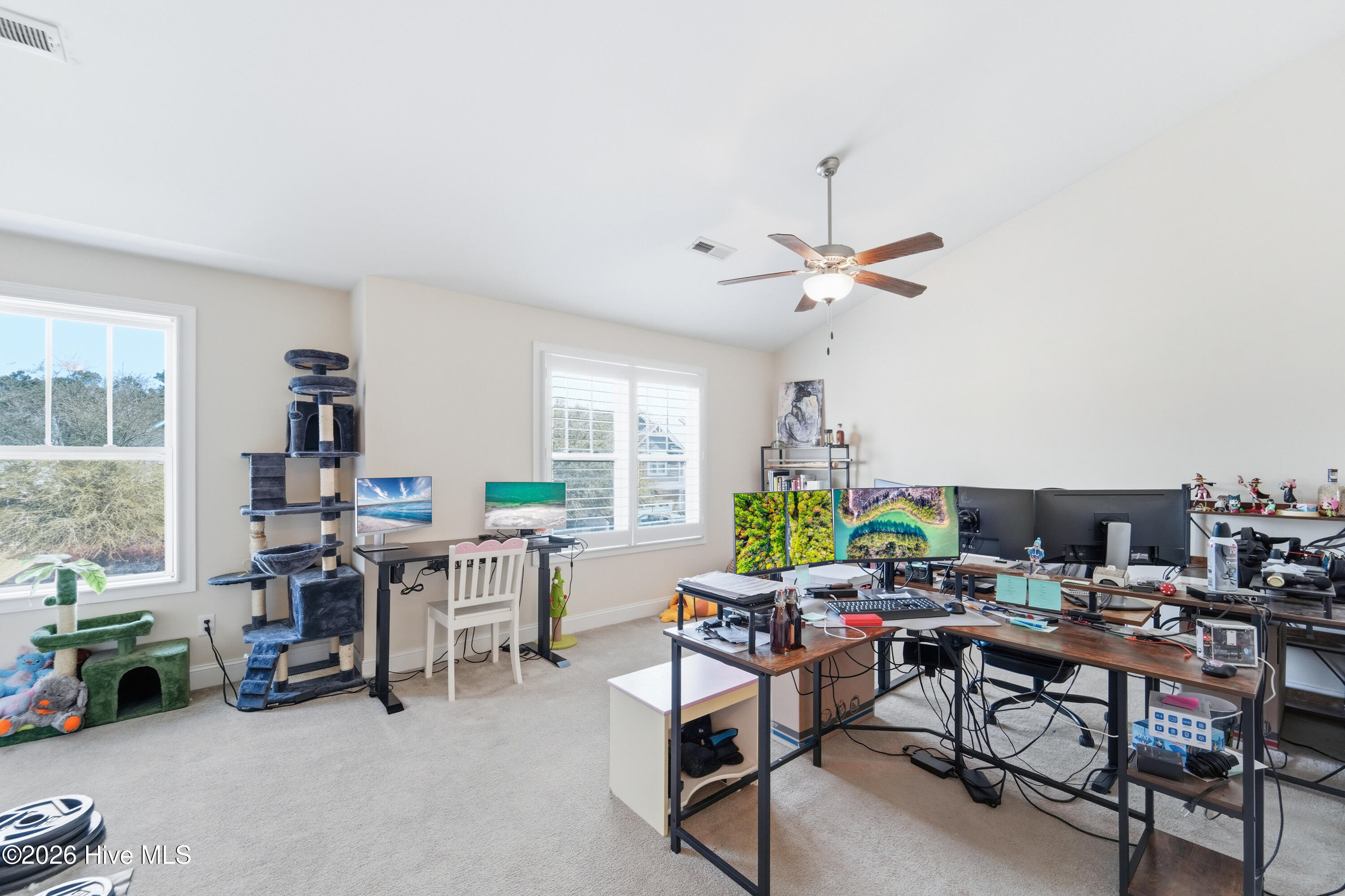 100562965 | Photo 58