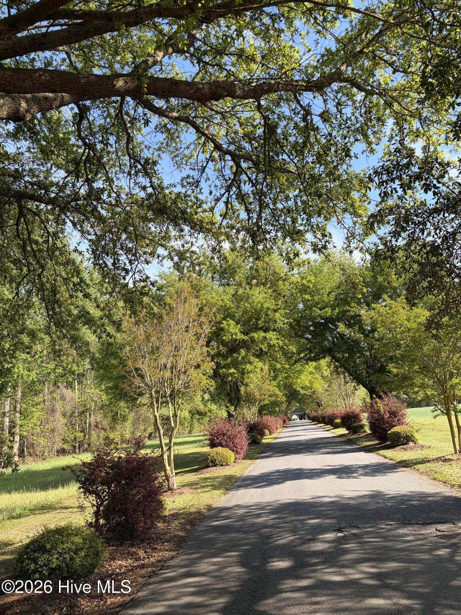 0 Island Drive, Chocowinity, NC, 27817