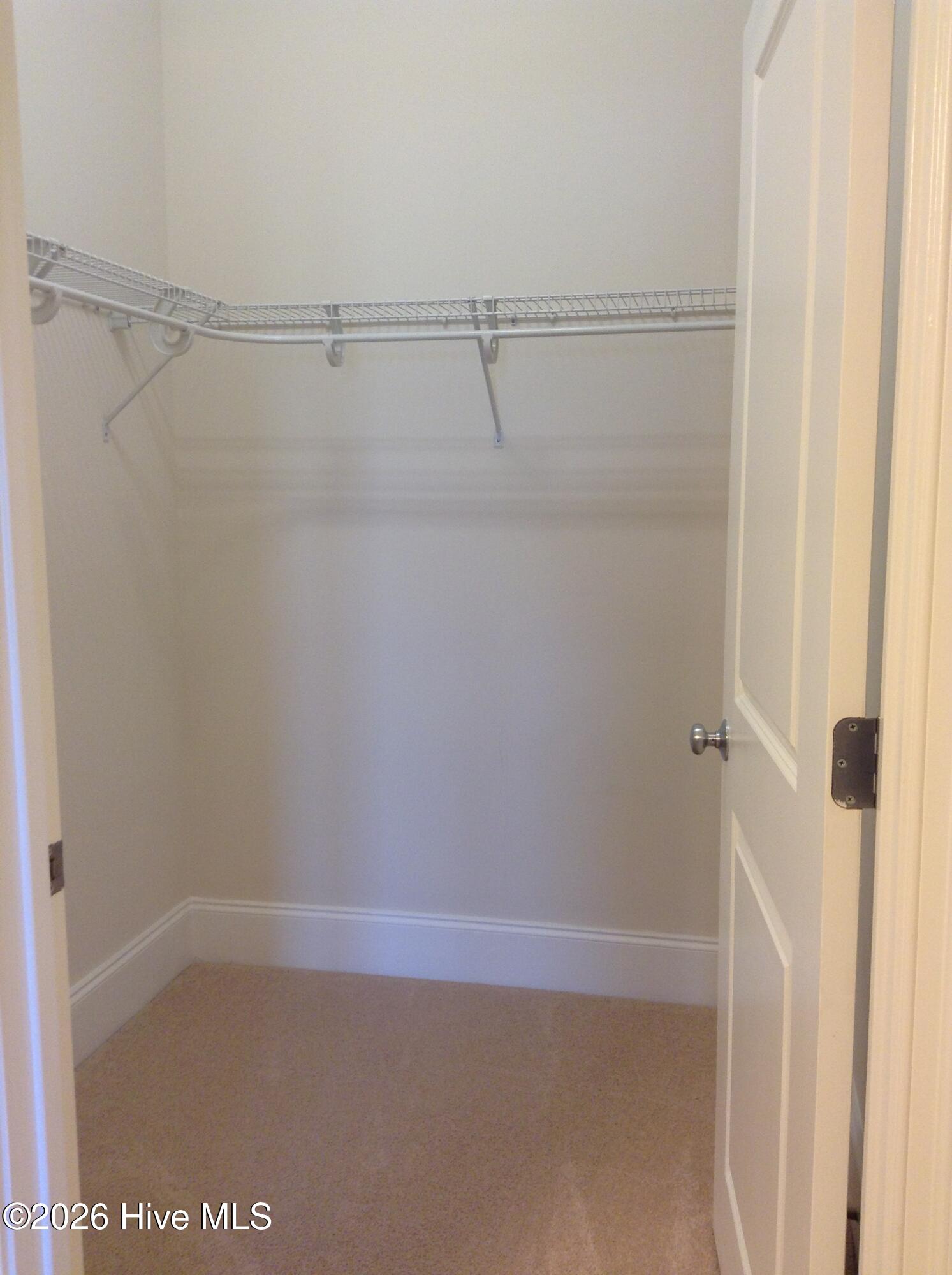 100553173 | Photo 31