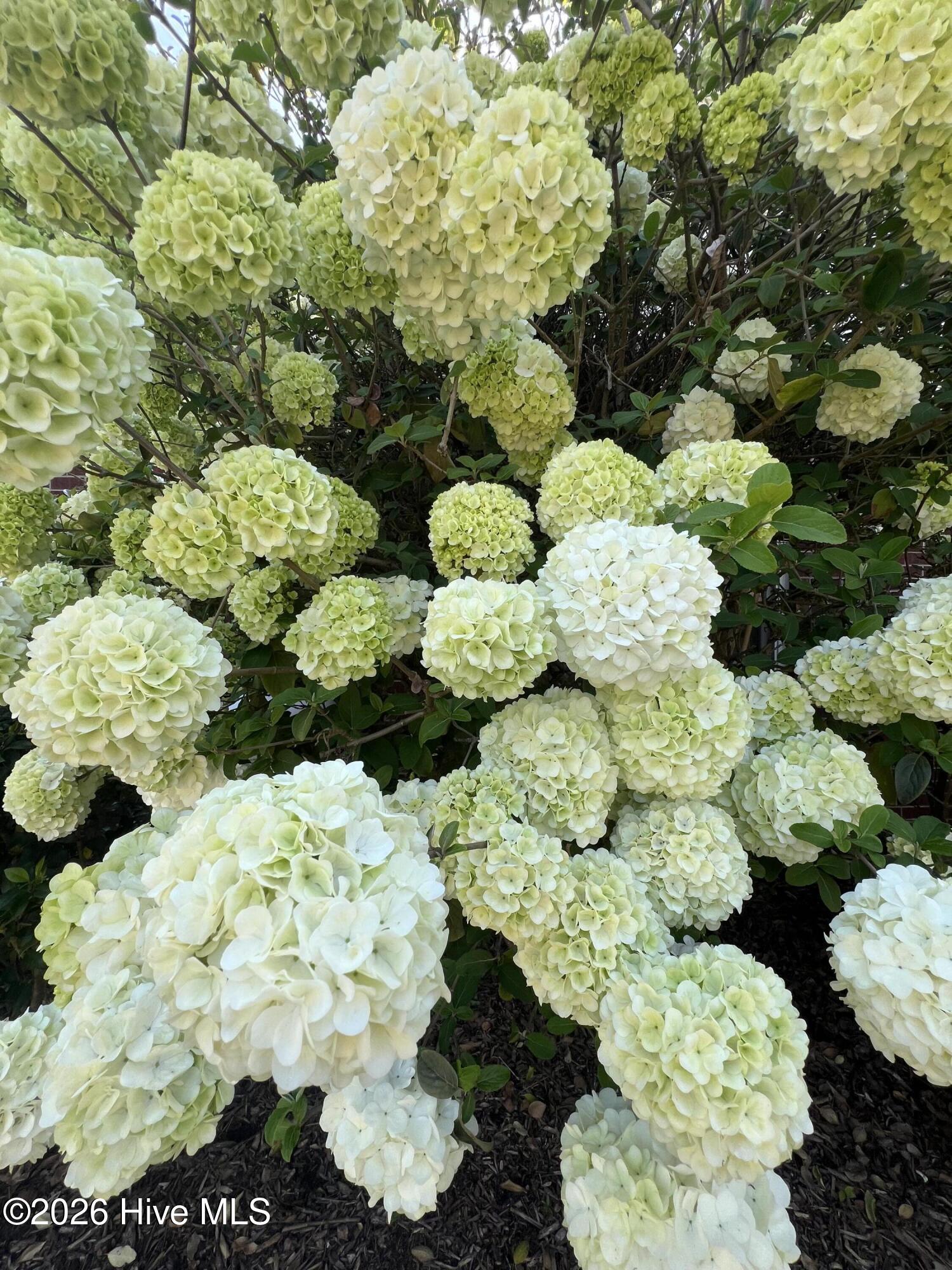 100556921 | Photo 51