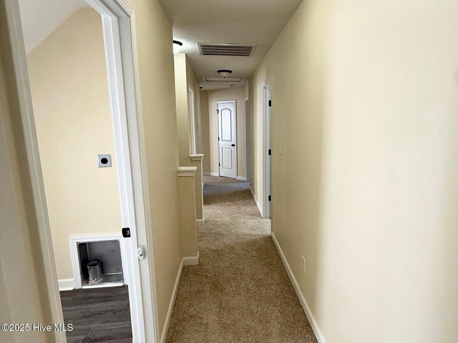 100542063 | Photo 17