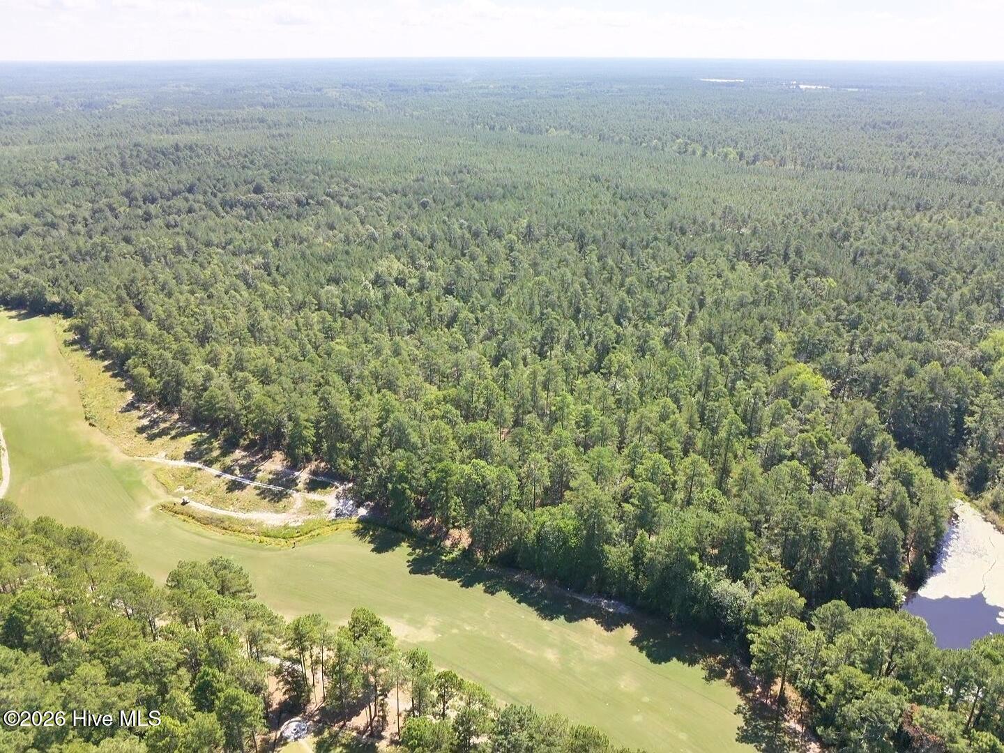 Photo 4 of Land for sale at Trt 8 Peach Orchard Rd, Wagram, NC 28396 | MLS# 100536202 | Listing updated on 2026-09-01