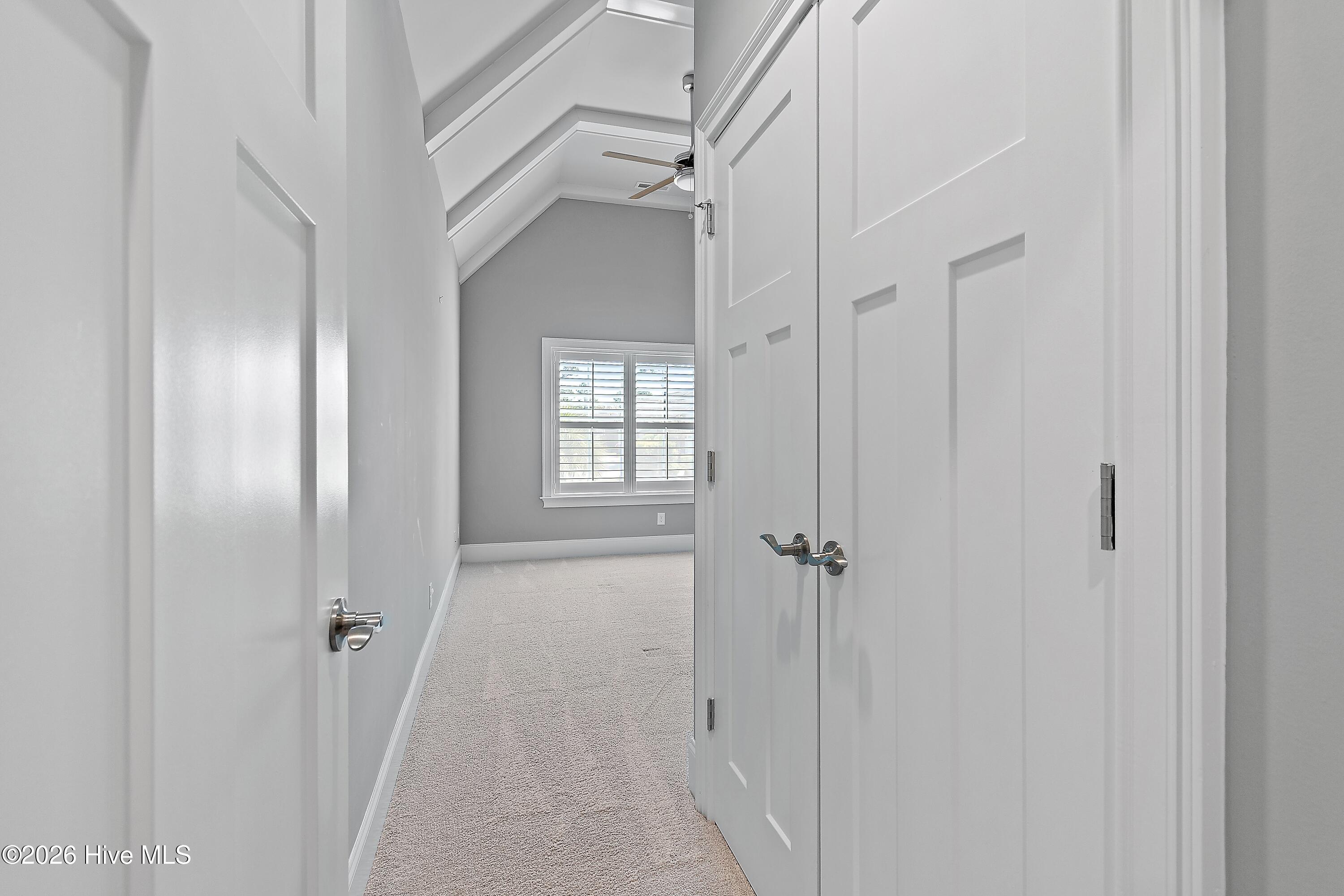 100564386 | Photo 30